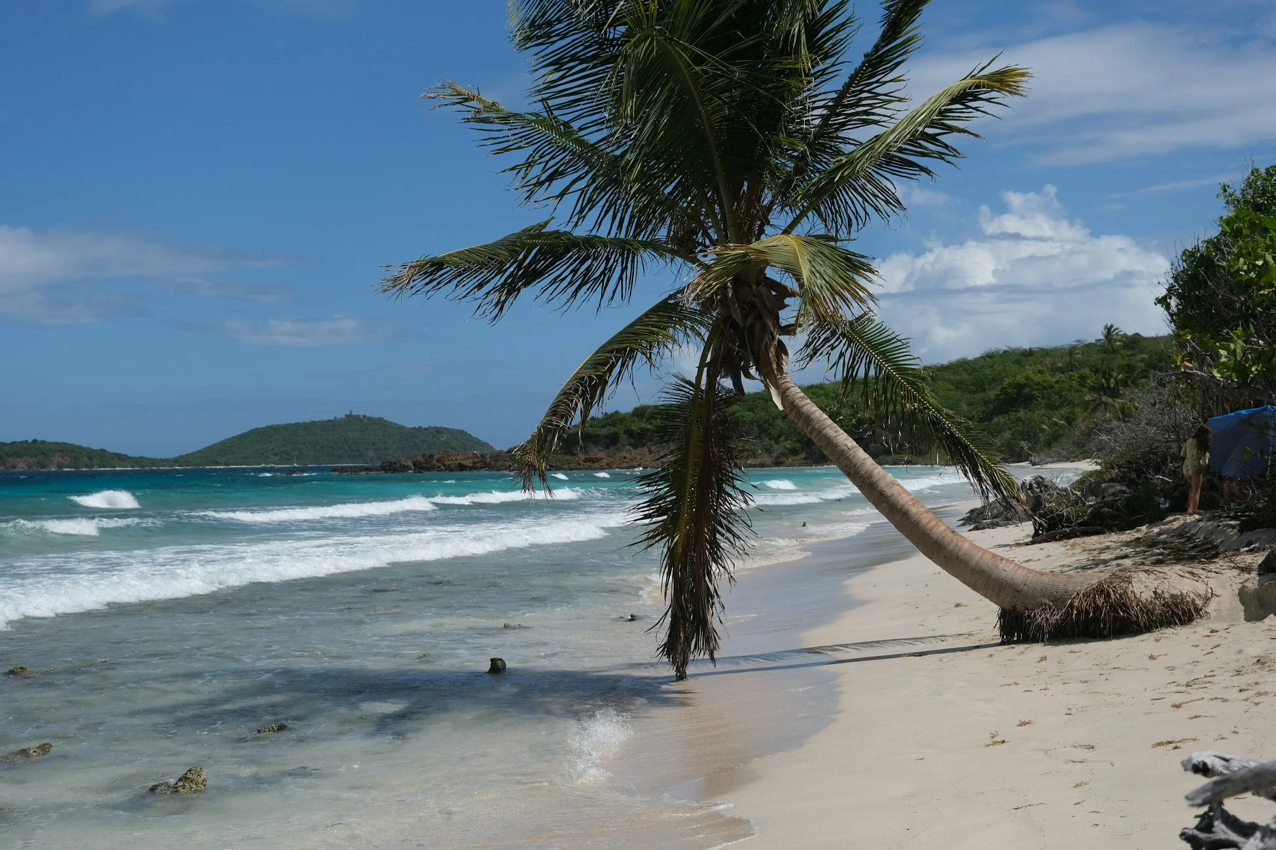 Buying Real Estate in Roatan: What I wish Every Buyer Knew Before Purchasing.
