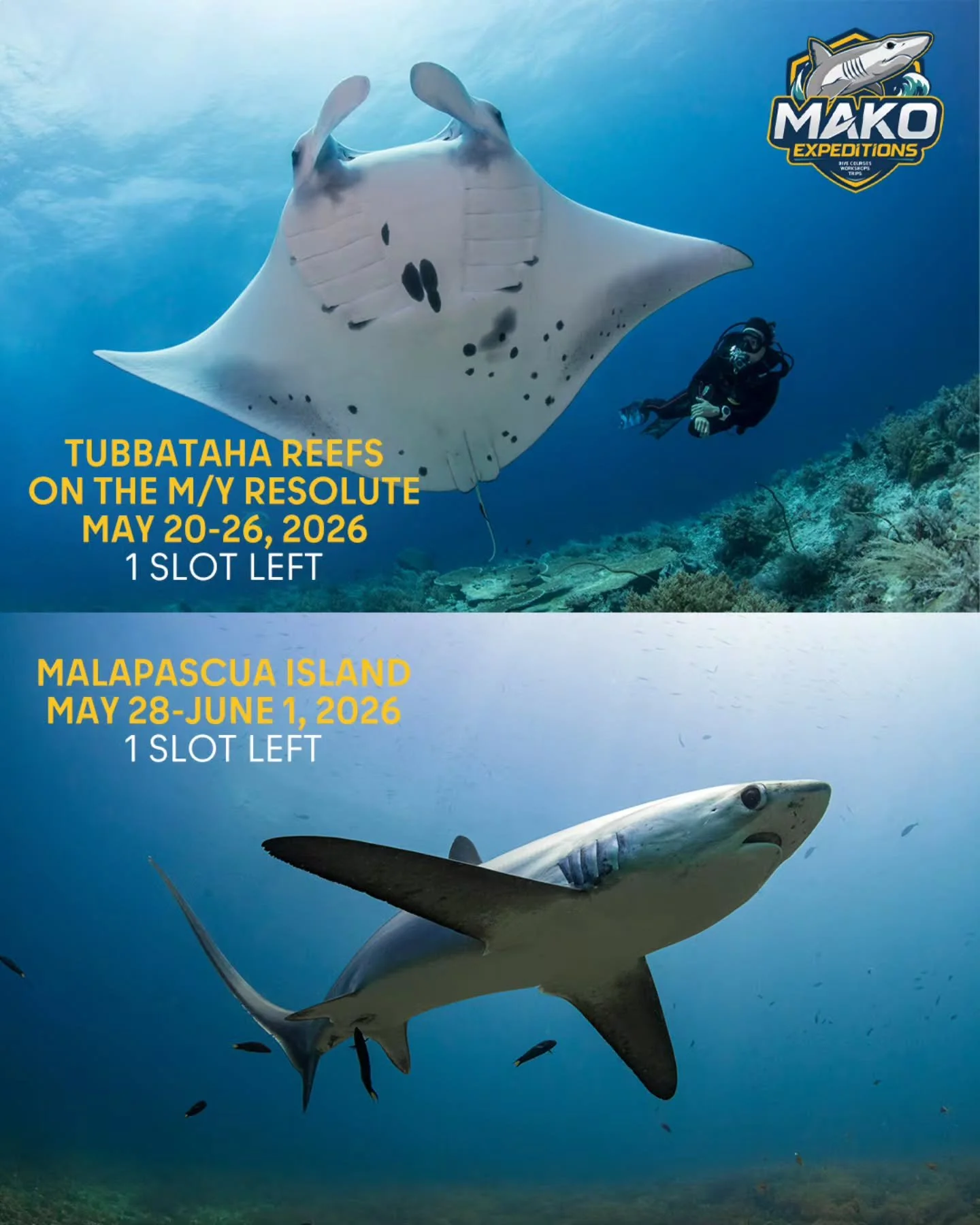 We have one (1) remaining slot for Tubbataha Reefs from May 20-26 and one (1) male-sharing slot for the subsequent Malapascua Leg from May 28 to June 1.

I'll be coaching photo/video on both trips.

If you've been looking to visit these crown jewels 