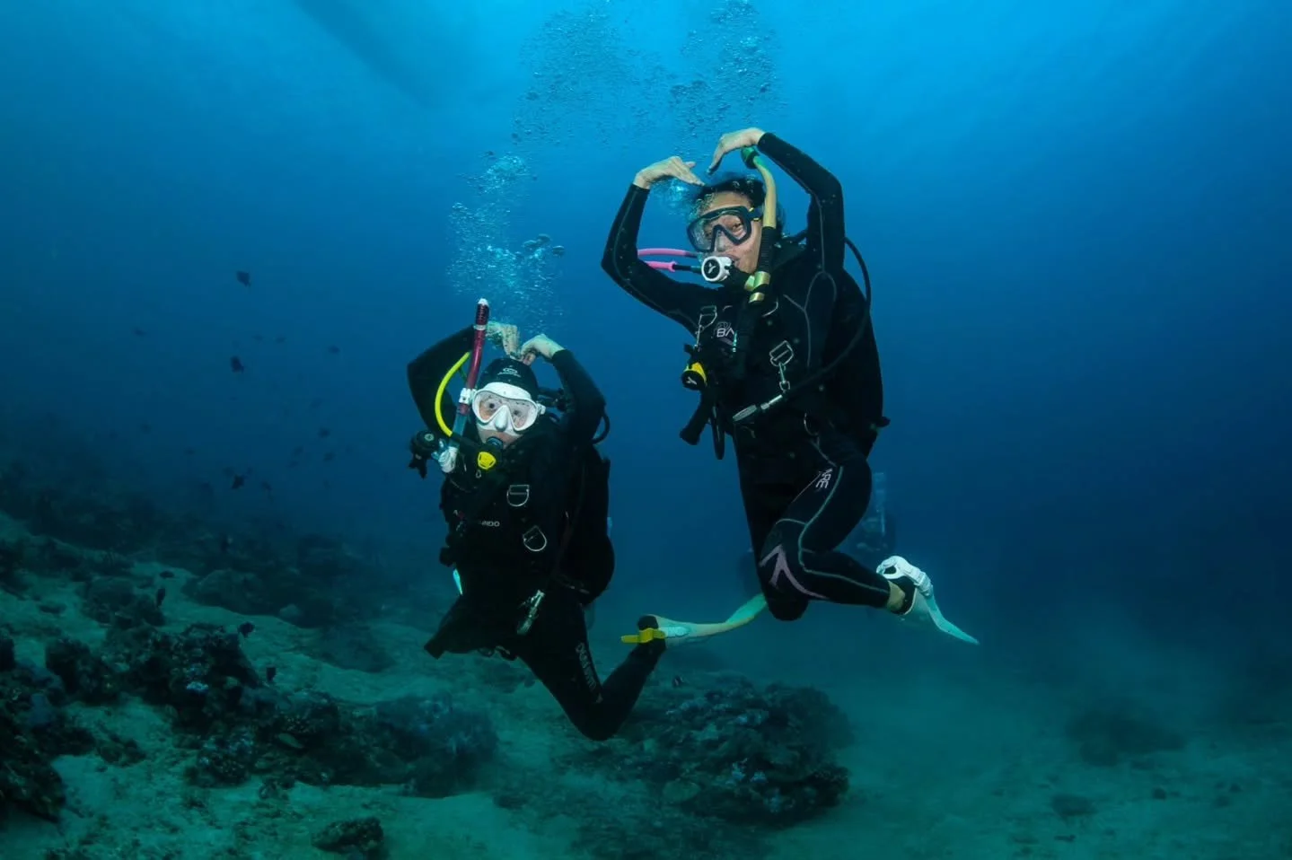 Fun dive with friends after @thatsjusthowiedoit and @gia.arceo completed their PADI Open Water Course! 🤙