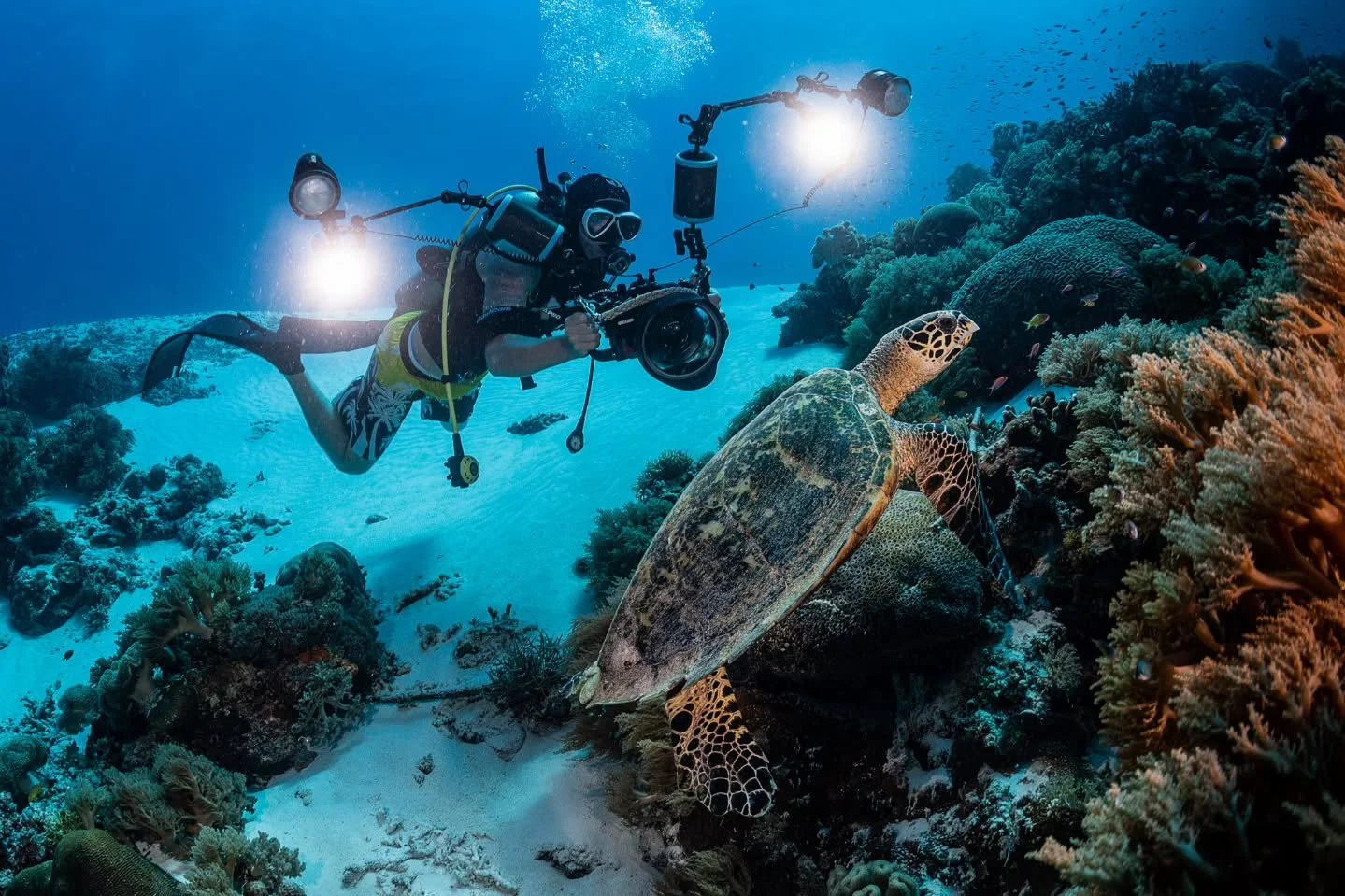 🚨 One slot opened up on our May 20-26 expedition to @tubbatahareefs ! 🚨

Join us on a 7-day trip in the crown jewel of diving in the Philippines, led by photographer, filmmaker, and National Geographic Explorer @noelguevaraphoto . 

Package include