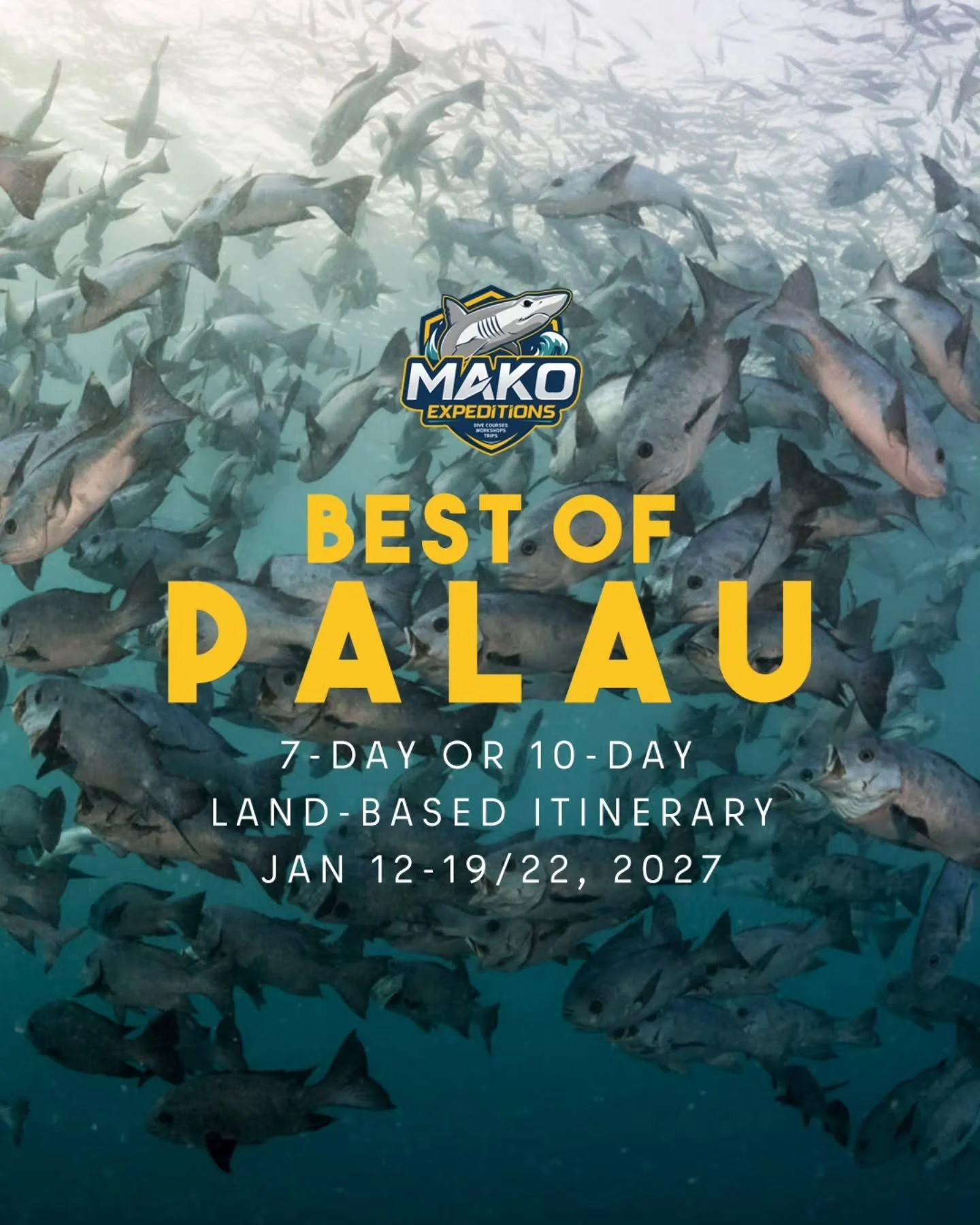 🚨 New Trip Alert: Best of Palau with two spawning events! 🚨

The first @makoexpeditions trip for 2027 will be to the island nation of Palau! Dive into this world-class destination for powerful currents, thriving reefs, thrilling encounters with pel