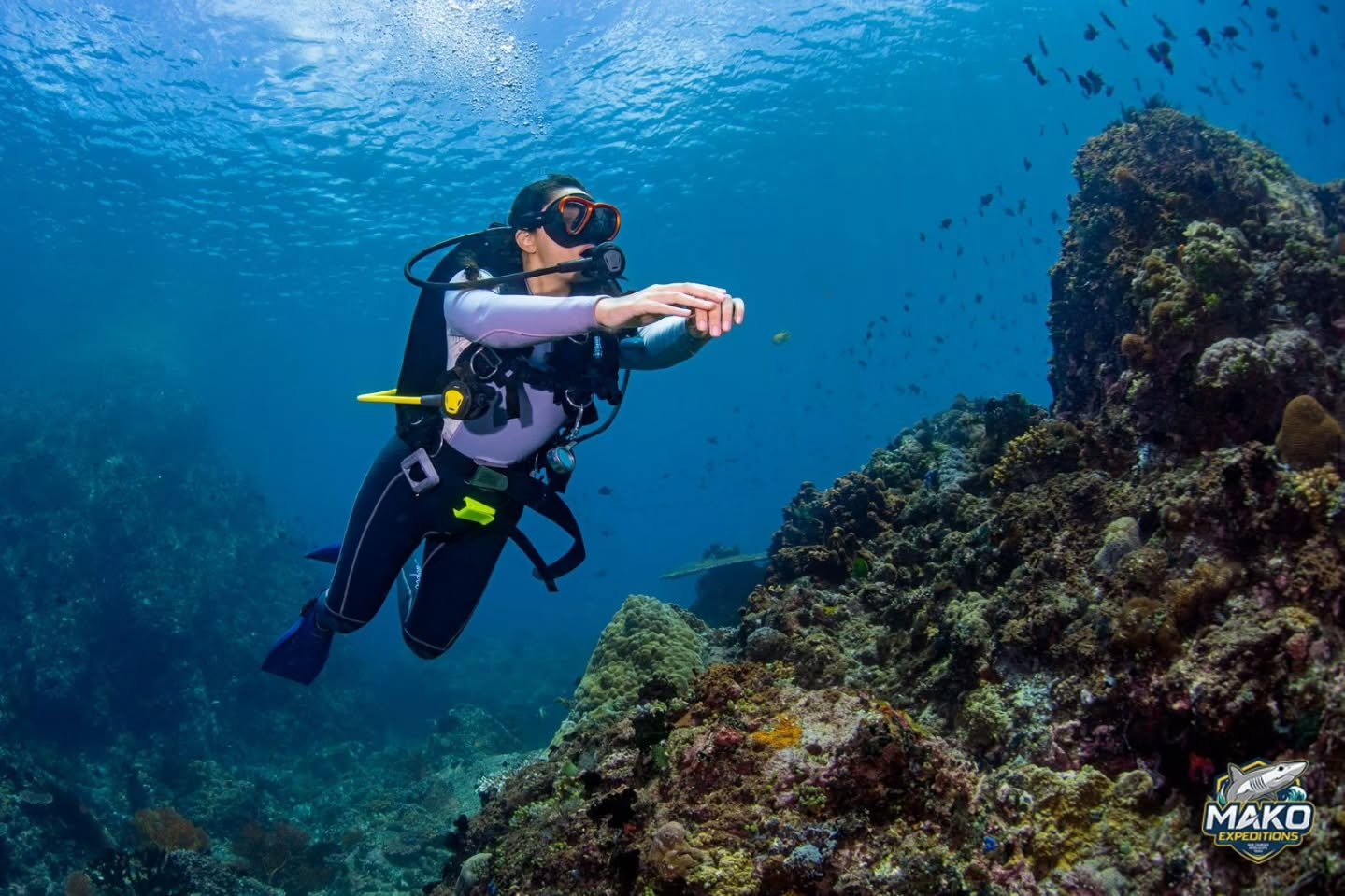 Snaps from @kmillonado 's Open Water weekend! The weather was rough on the second day, but the sun eventually broke through on the last day, setting the perfect conditions for certification and fun dives. 

We spent most of our dives going around Mai