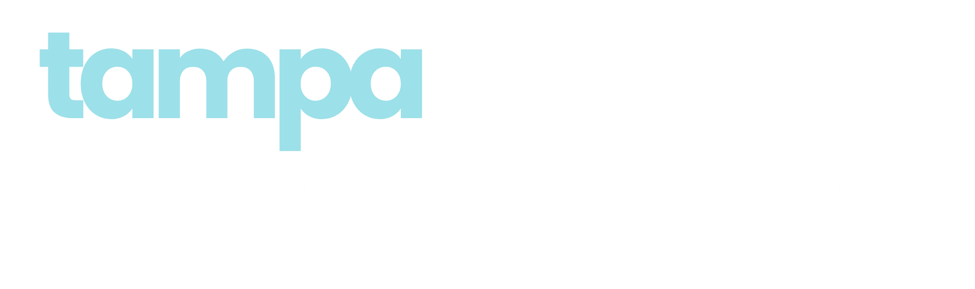 Tampa Branding and Web Design Studio