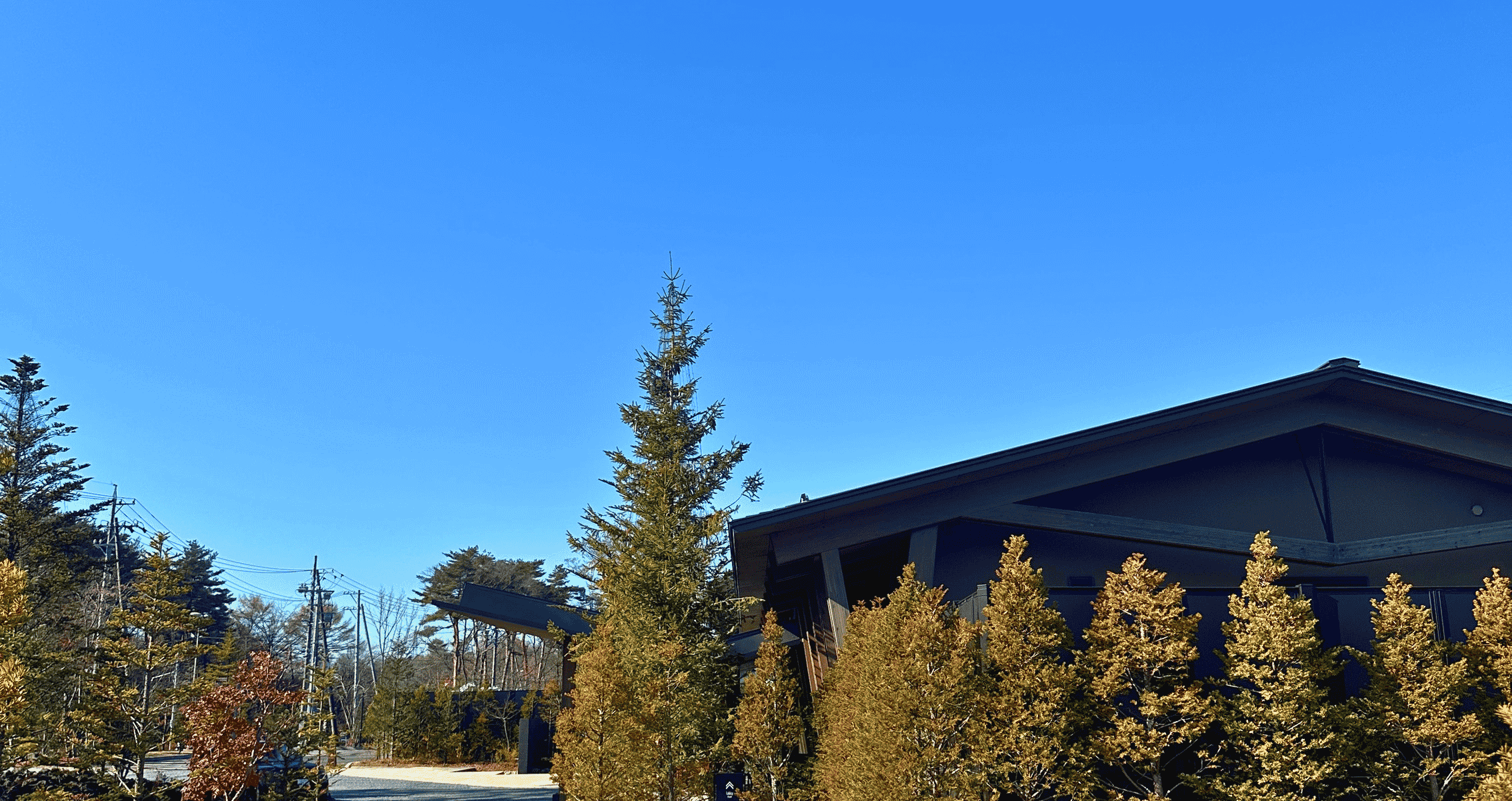 Fall season urban landscape at Hotel Indigo Karuizawa