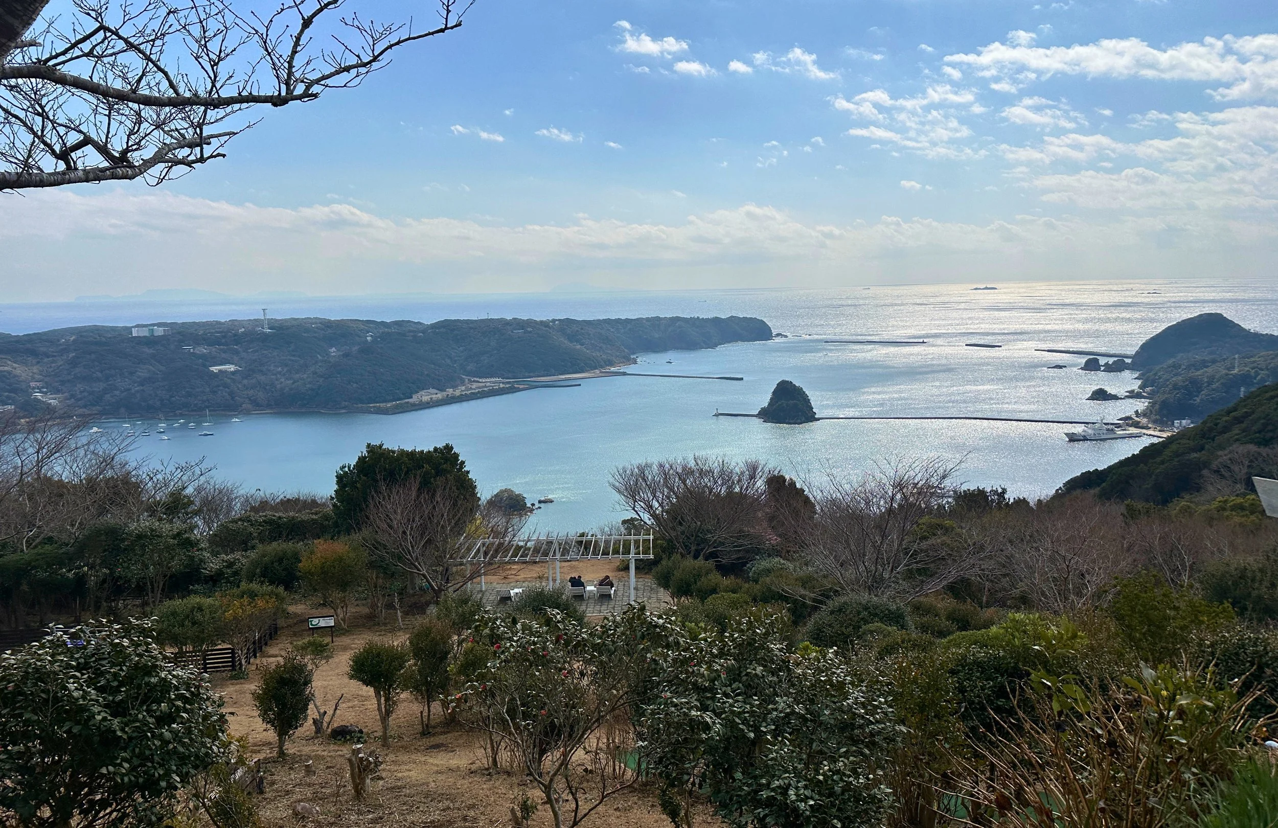 Coastal view from hilltop, Izu Peninsula