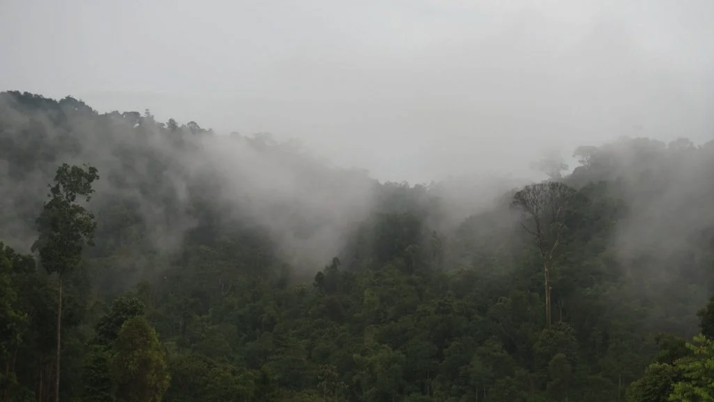 A Sacred Landscape