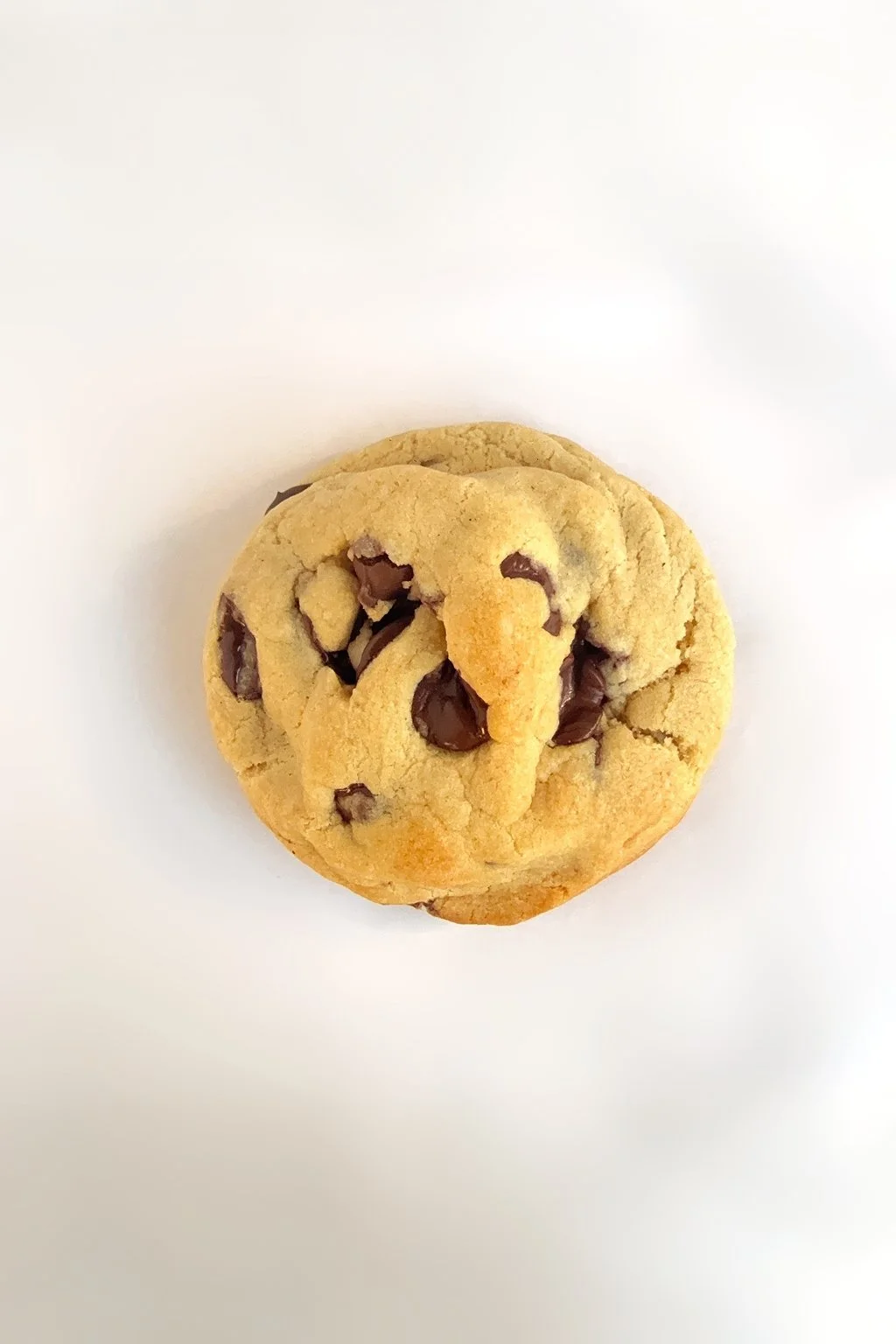 Golden Chocolate Chunk