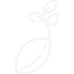 Simple white line drawing of a seed with a sprouting plant on top.