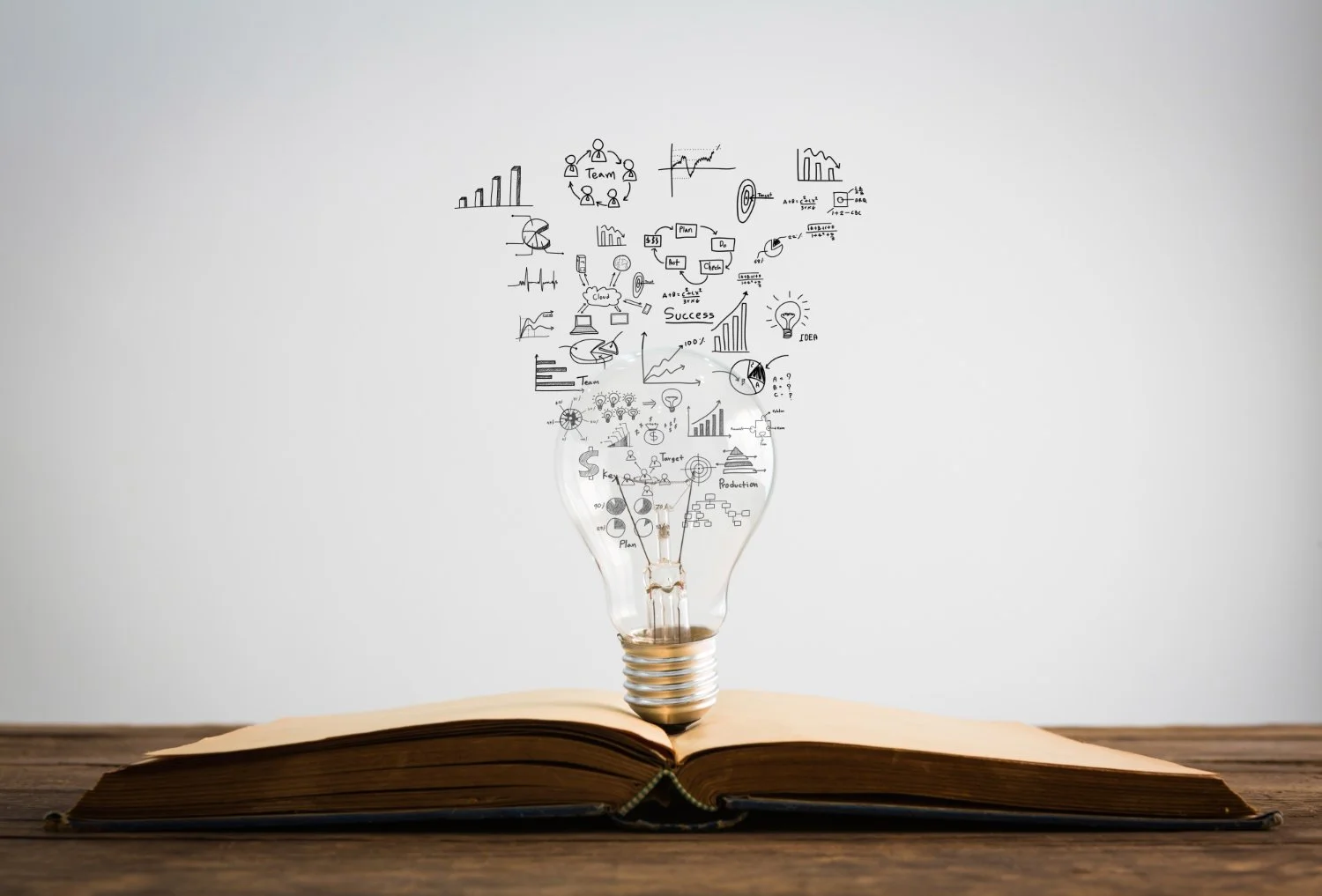 An open book with a lightbulb-shaped glass sitting on top, containing various hand-drawn charts, graphs, and diagrams related to ideas, planning, and success on a plain background.
