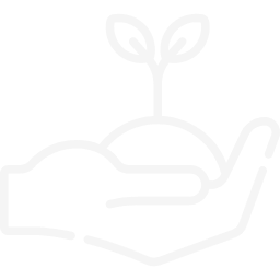 Outline of a hand holding a small plant with leaves