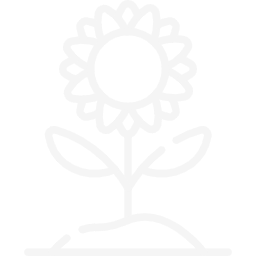 White line drawing of a sunflower with leaves and stem on a black background.