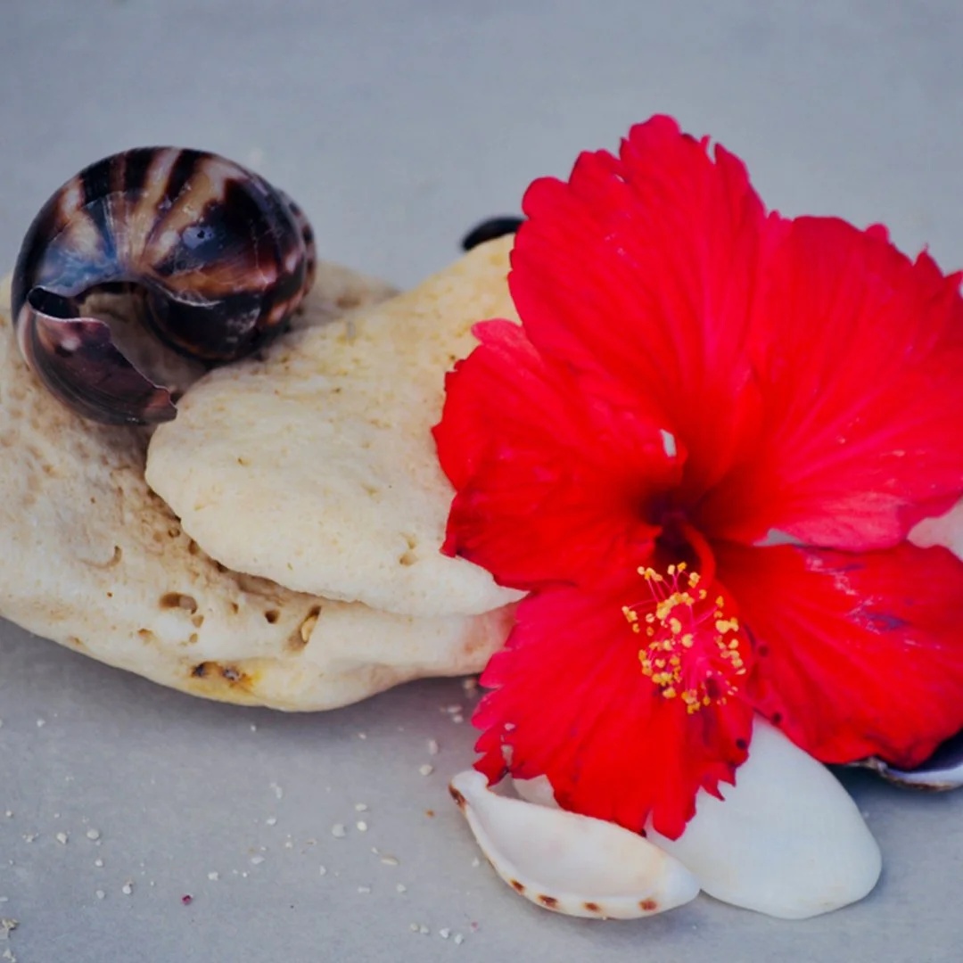 A seashell, a reddish-brown snail shell, a red hibiscus flower, and white seashells on a gray surface.