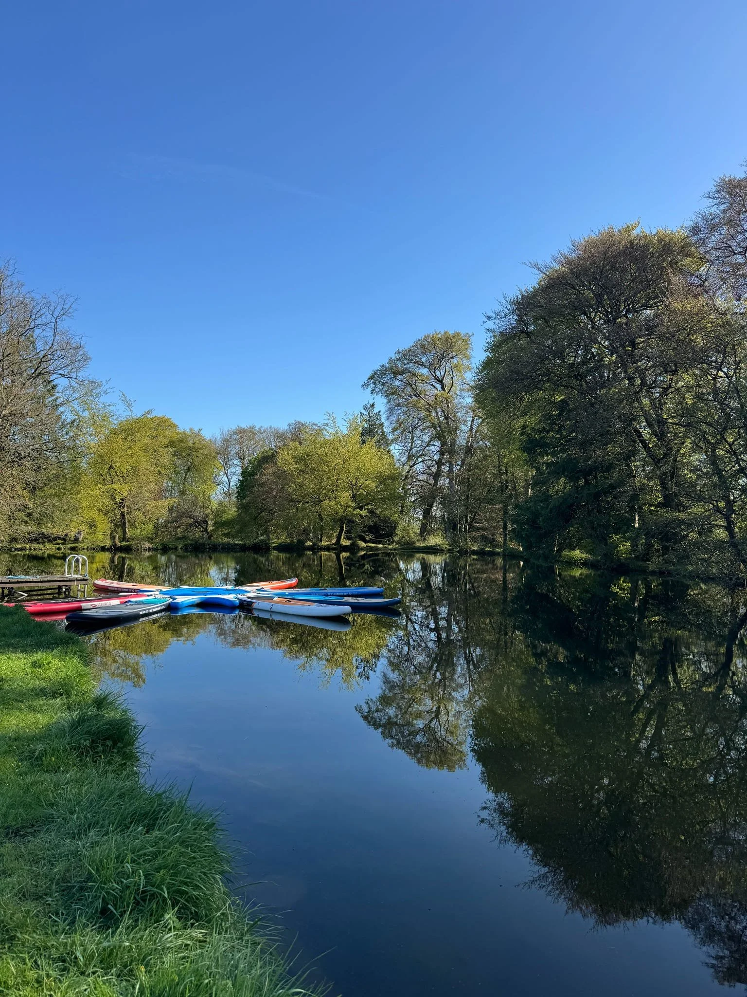 A calm river reflecting trees with green and budding leaves under a clear blue sky, with several colorful kayaks and paddleboards with a ladder on the grassy bank.