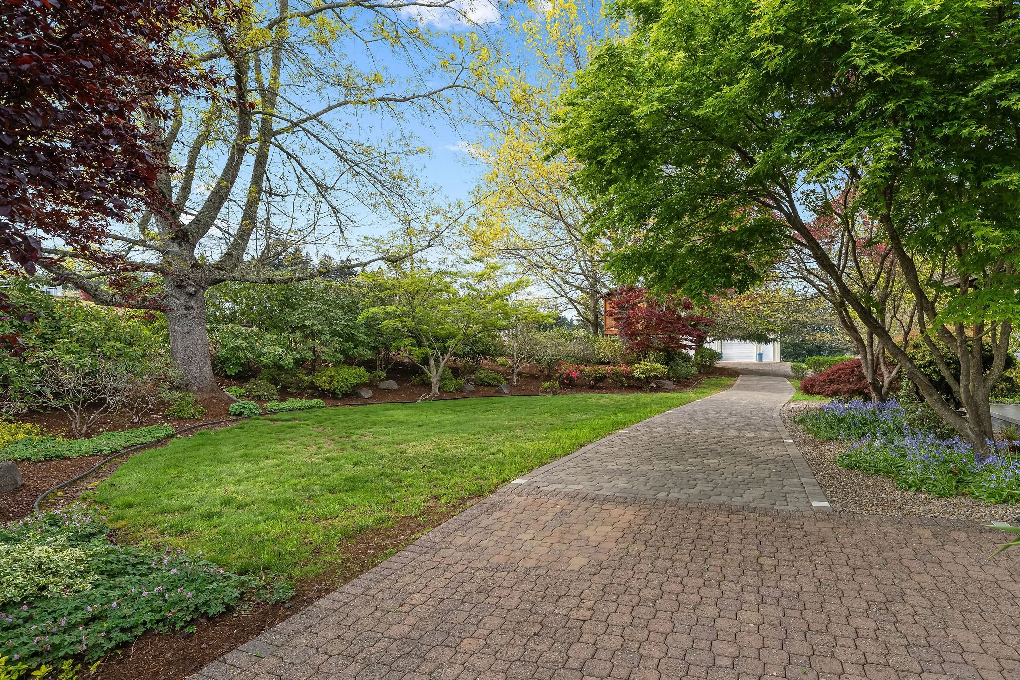 Laurel Path Web.jpg