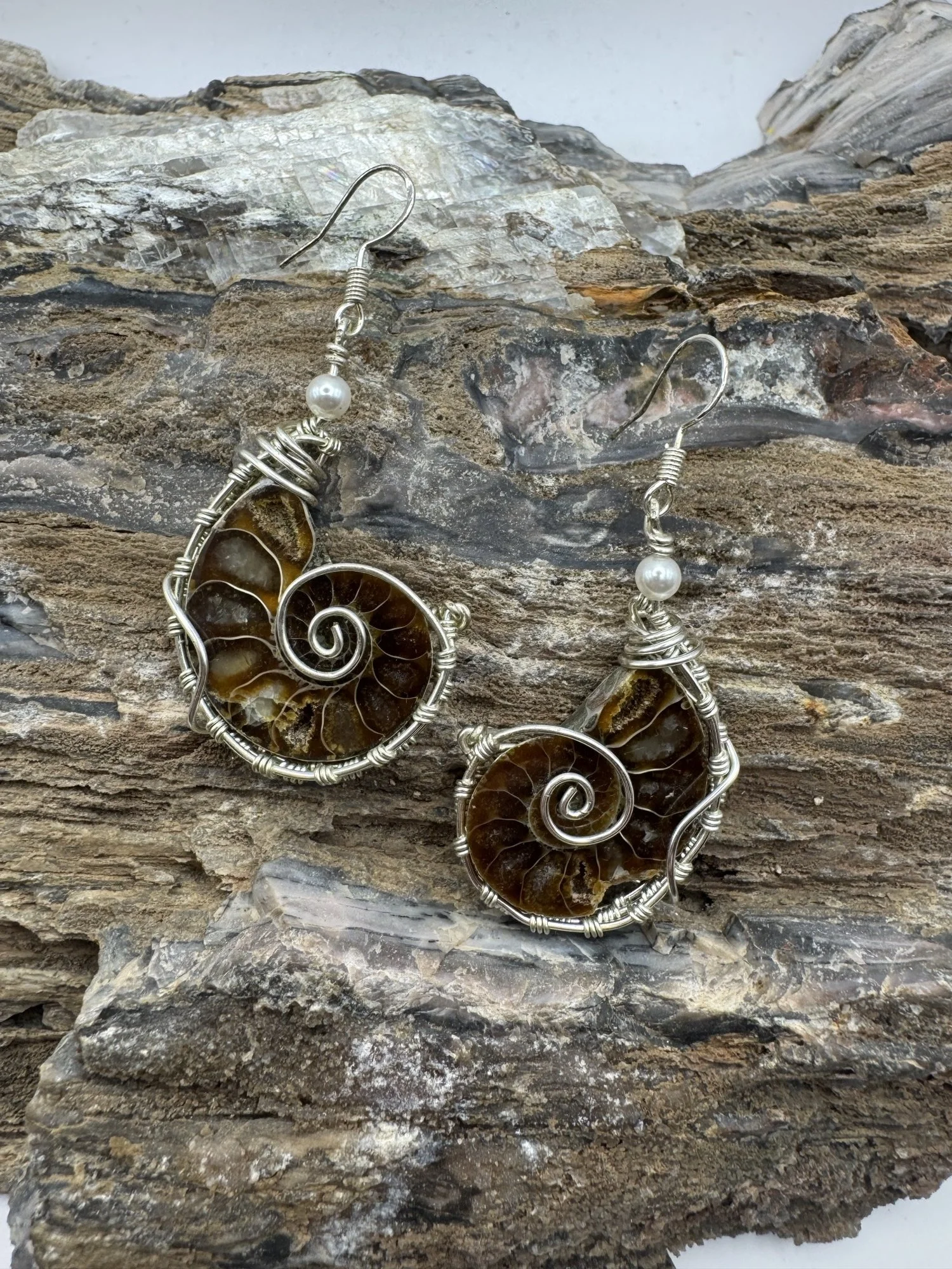 Split Natural Ammonite Earrings