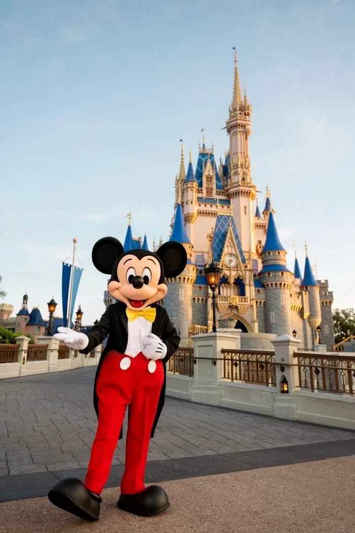 DISNEY & UNIVERSAL