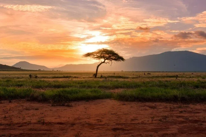 AFRICA