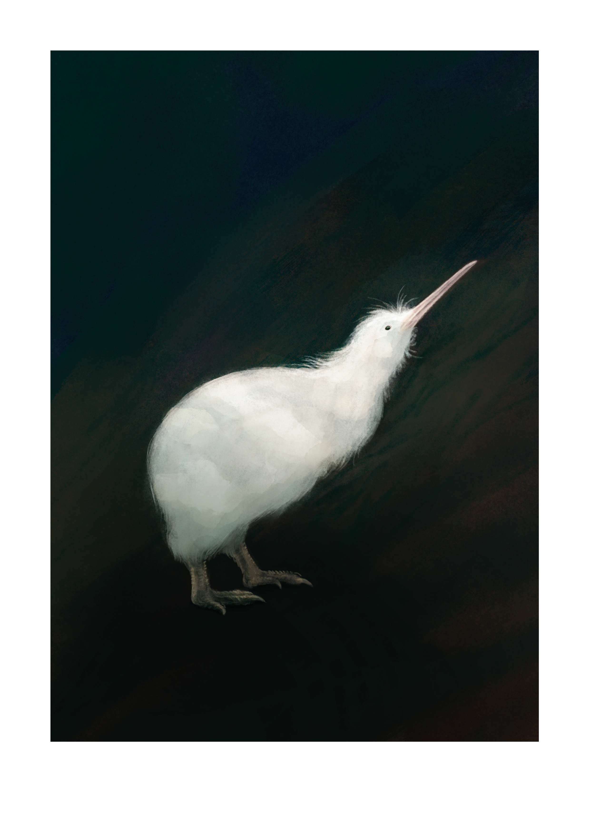 Kiwi A4.png