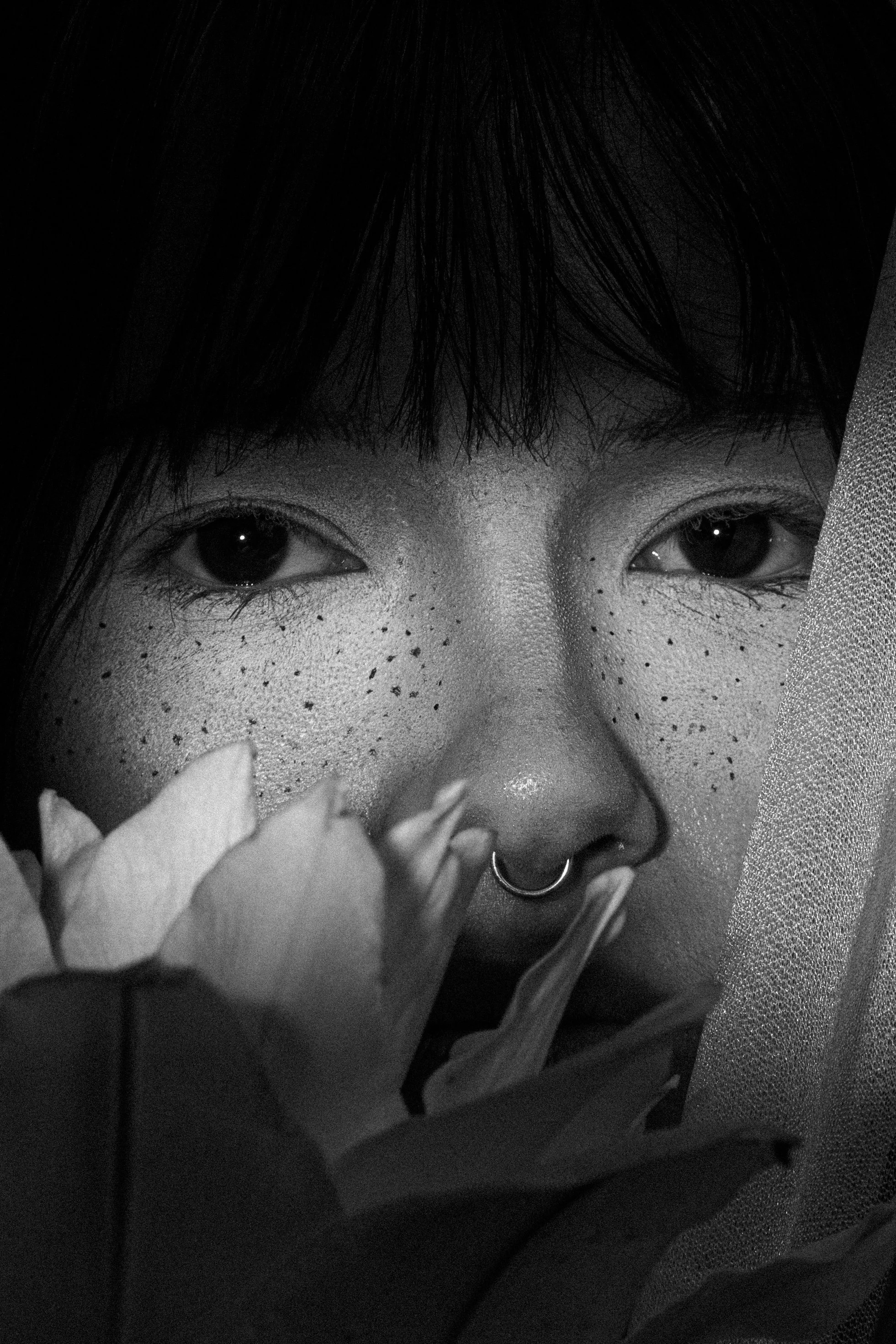 Close-up black and white portrait of a person with dark hair, freckles, a septum piercing, and partially obscured by a flower and a curtain.