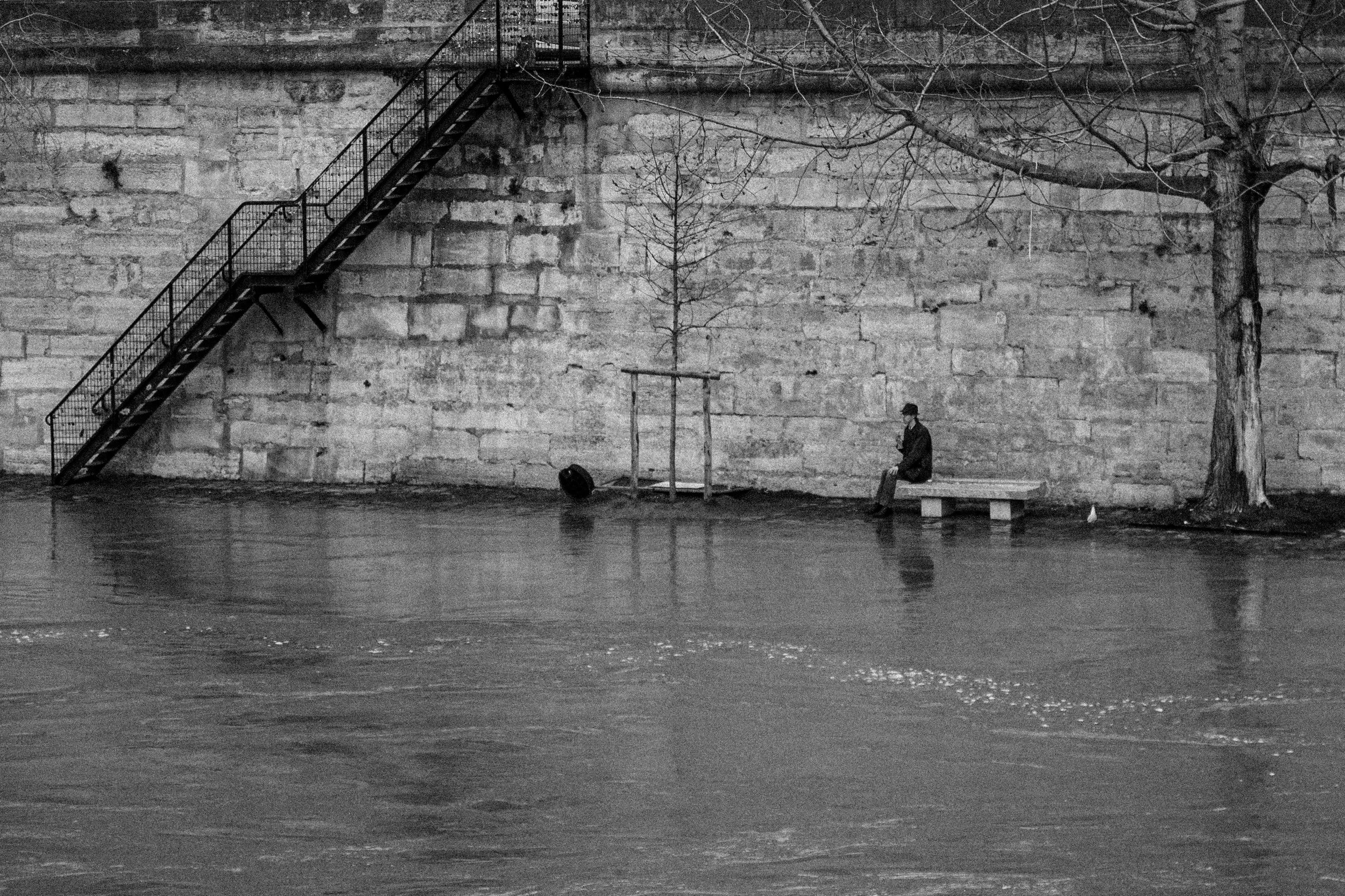 A person sitting on a bench by a river, with a stone wall and stairs in the background, two trees, and a small, leafless tree in the middle.