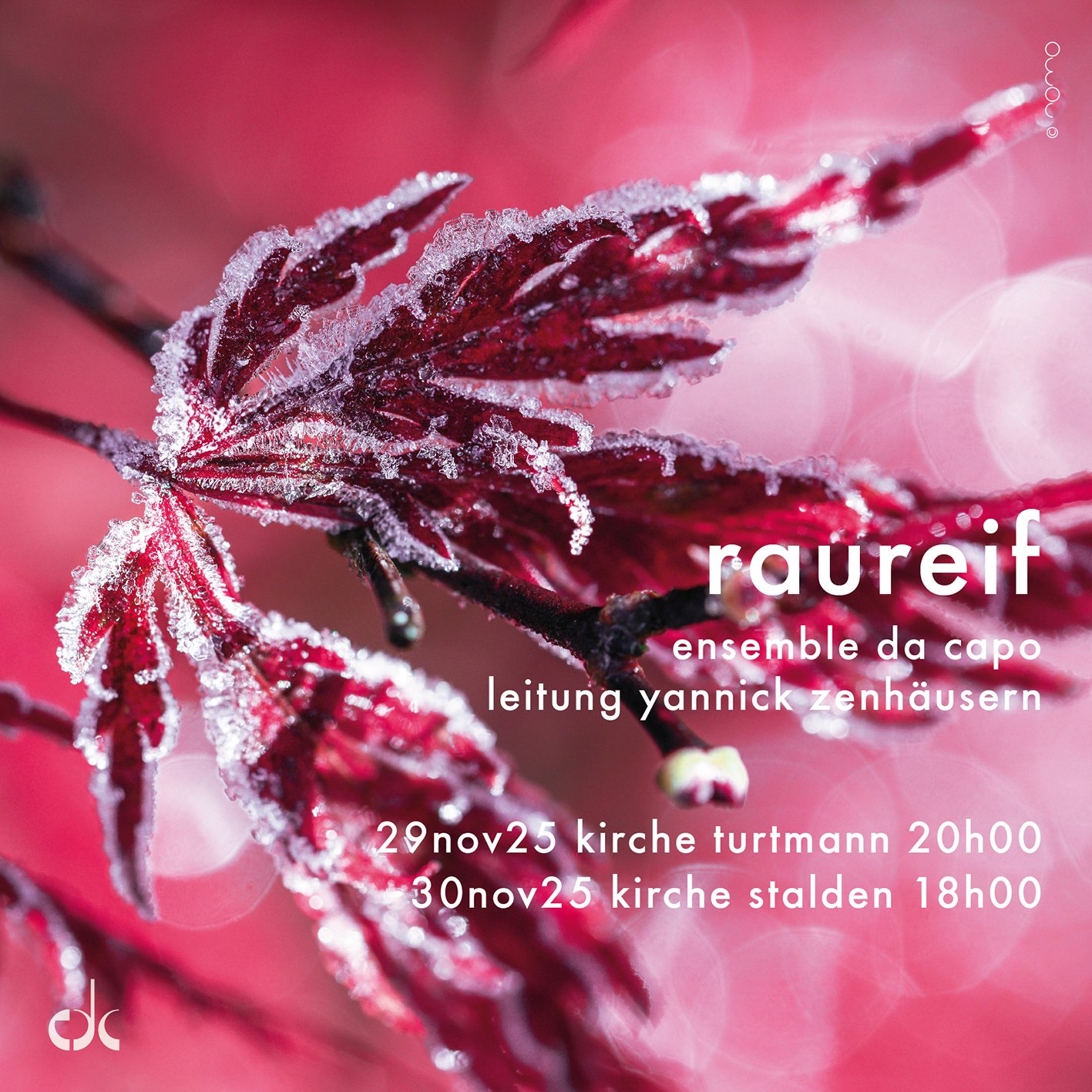 edc_2025_raureif.jpg