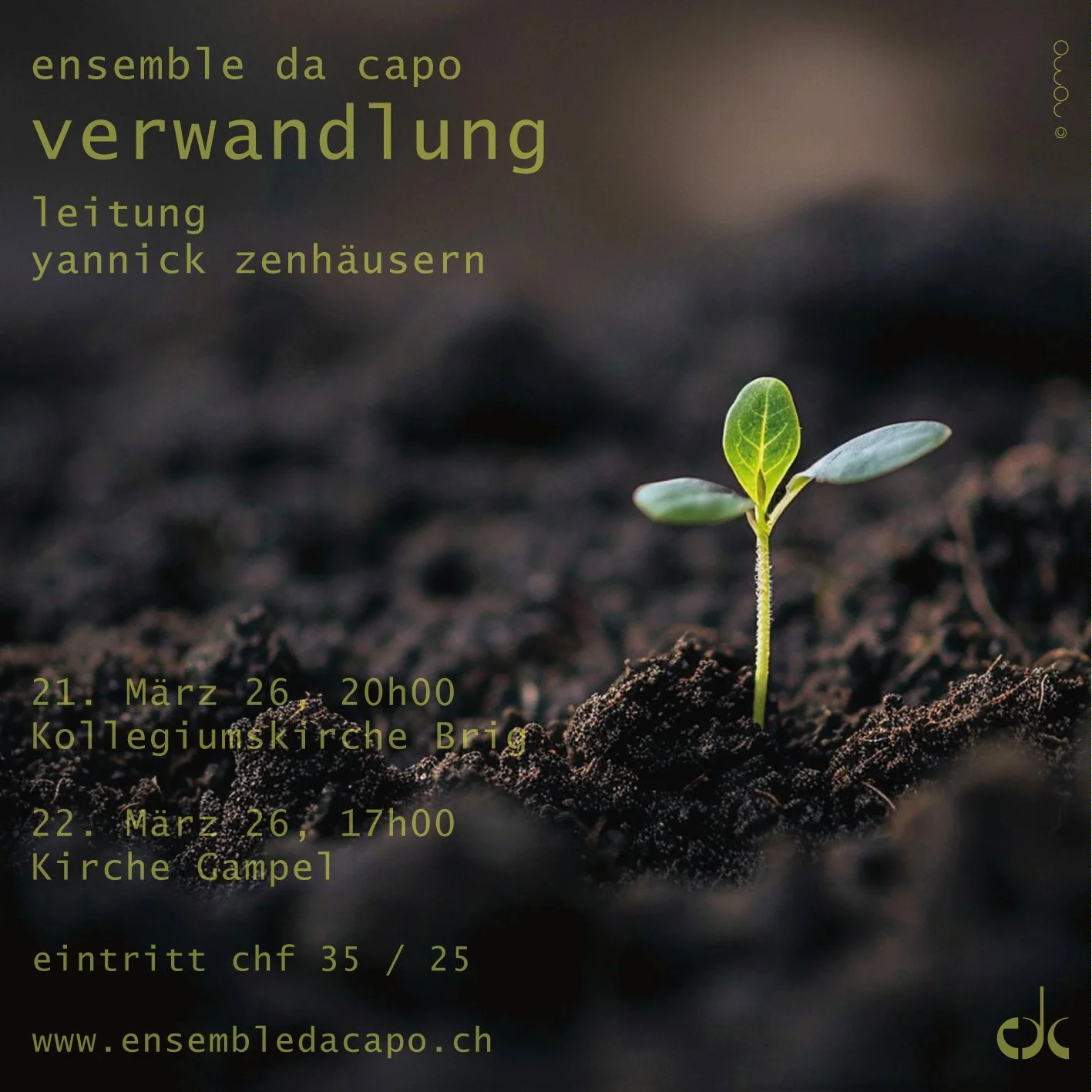 edc_2026_verwandlung.jpg