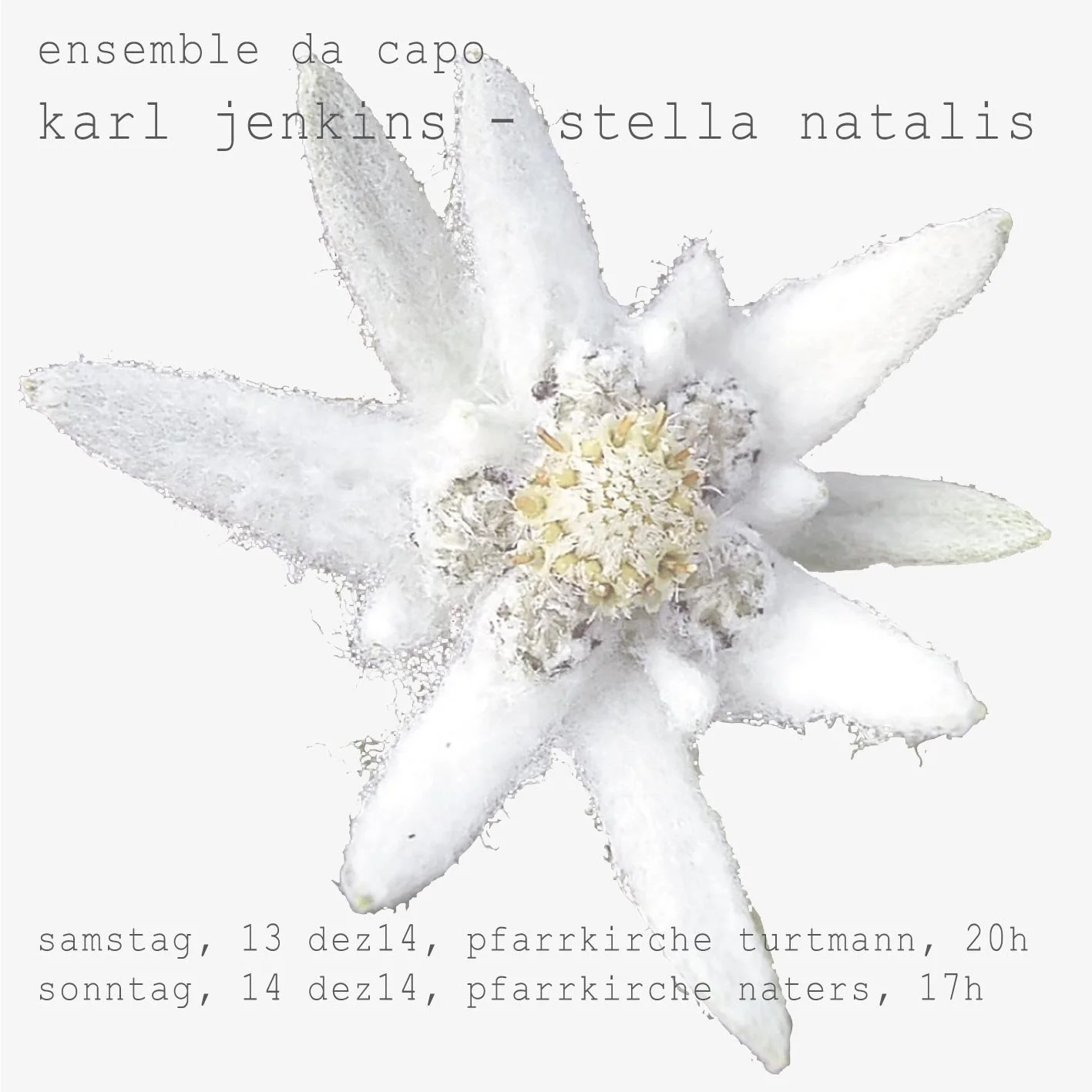 edc_2014_stella-natalis.jpg