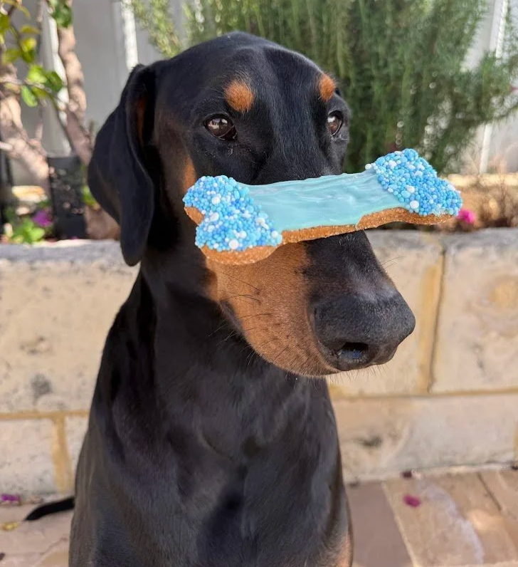 Natural Dog Treats Australia.png