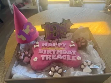 BarkDay Cake Combo