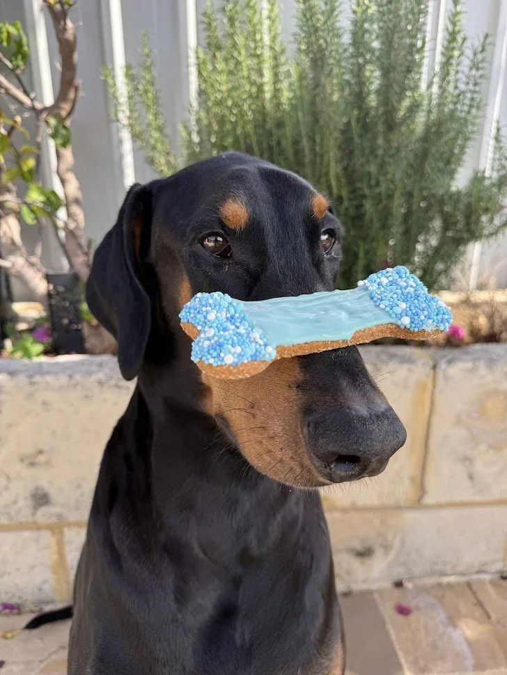 Intermediate Woof-Scription