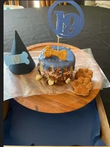 Dog Birthday Cake.webp