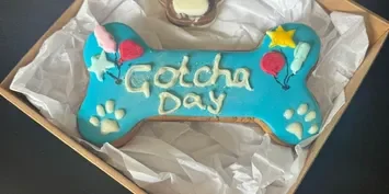 All Occasions - XLarge Bone