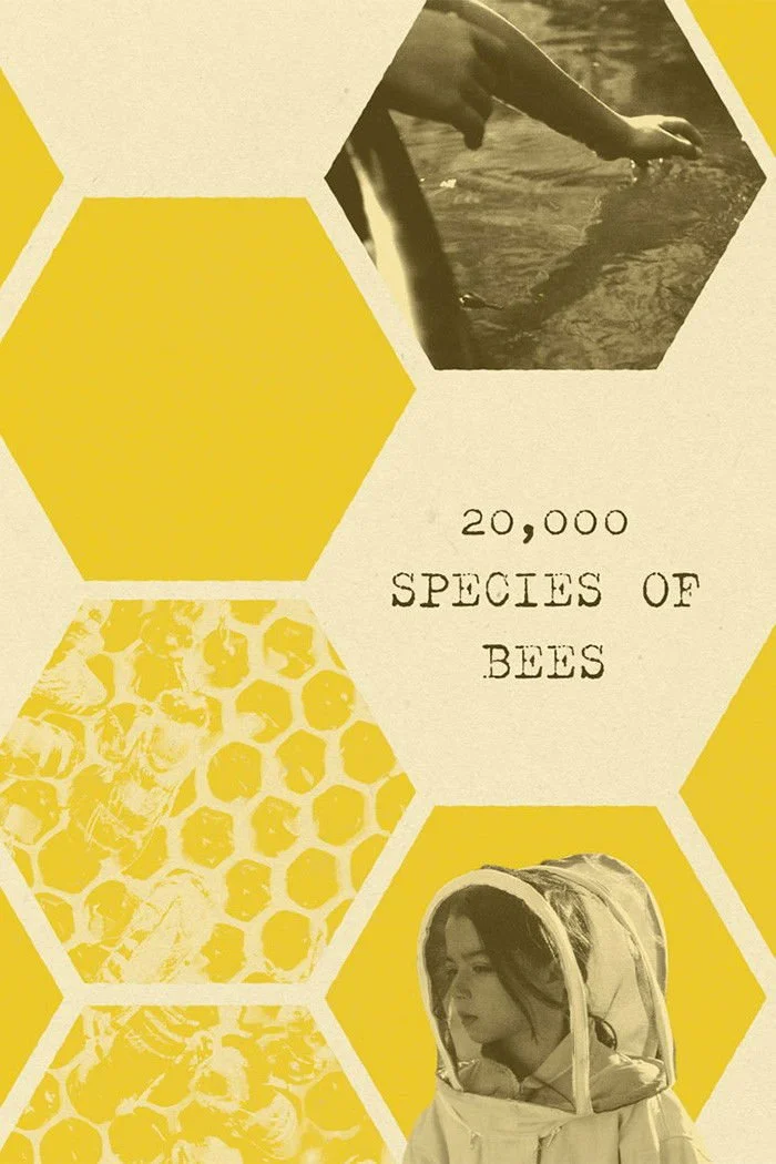 Design featuring hexagonal shapes with images of bees, a person working with water, and a woman wearing a protective suit. Text reads '20,000 species of bees.'