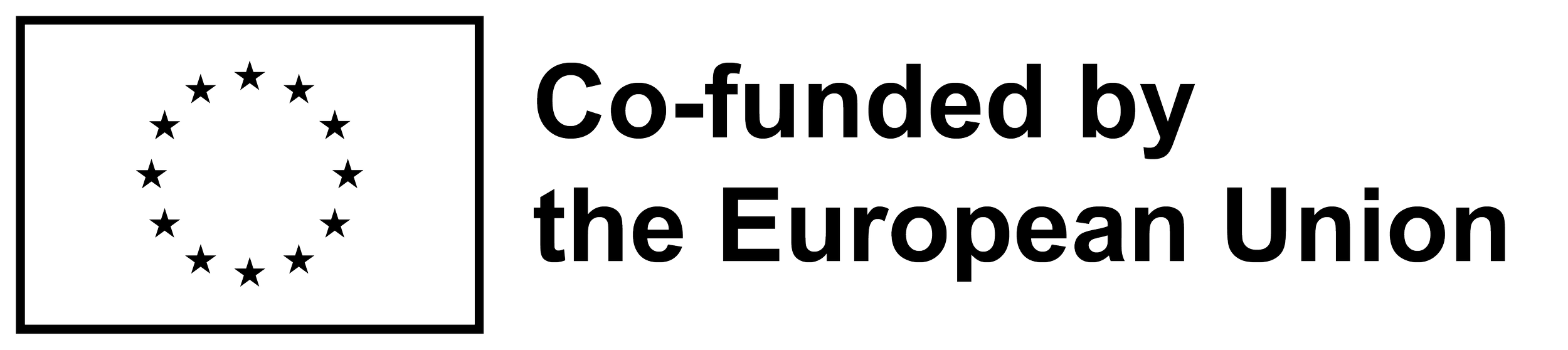 European Union flag with 12 stars in a circle and text that reads 'Co-funded by the European Union.'