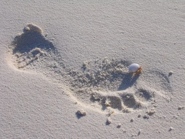 Elisabeth Hollinger, Shiatsu Praktikerin aus Lanzendorf – Fußspuren im Sand auf den Malediven, Symbol für den eigenen Weg
