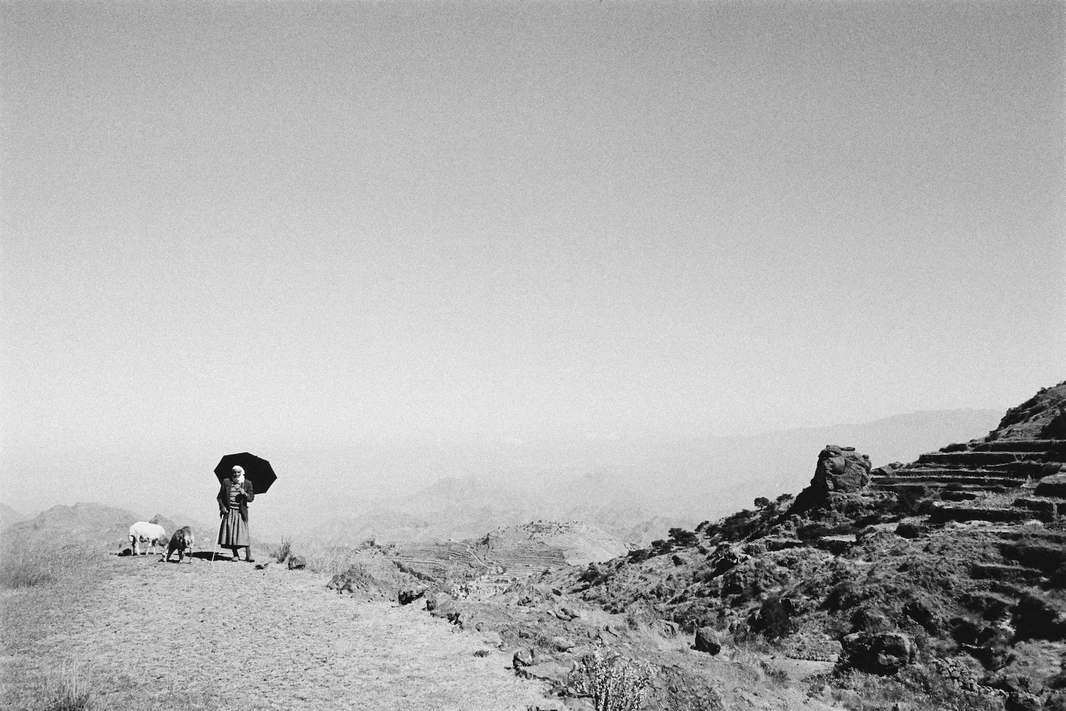 Umbrella Man Yemen