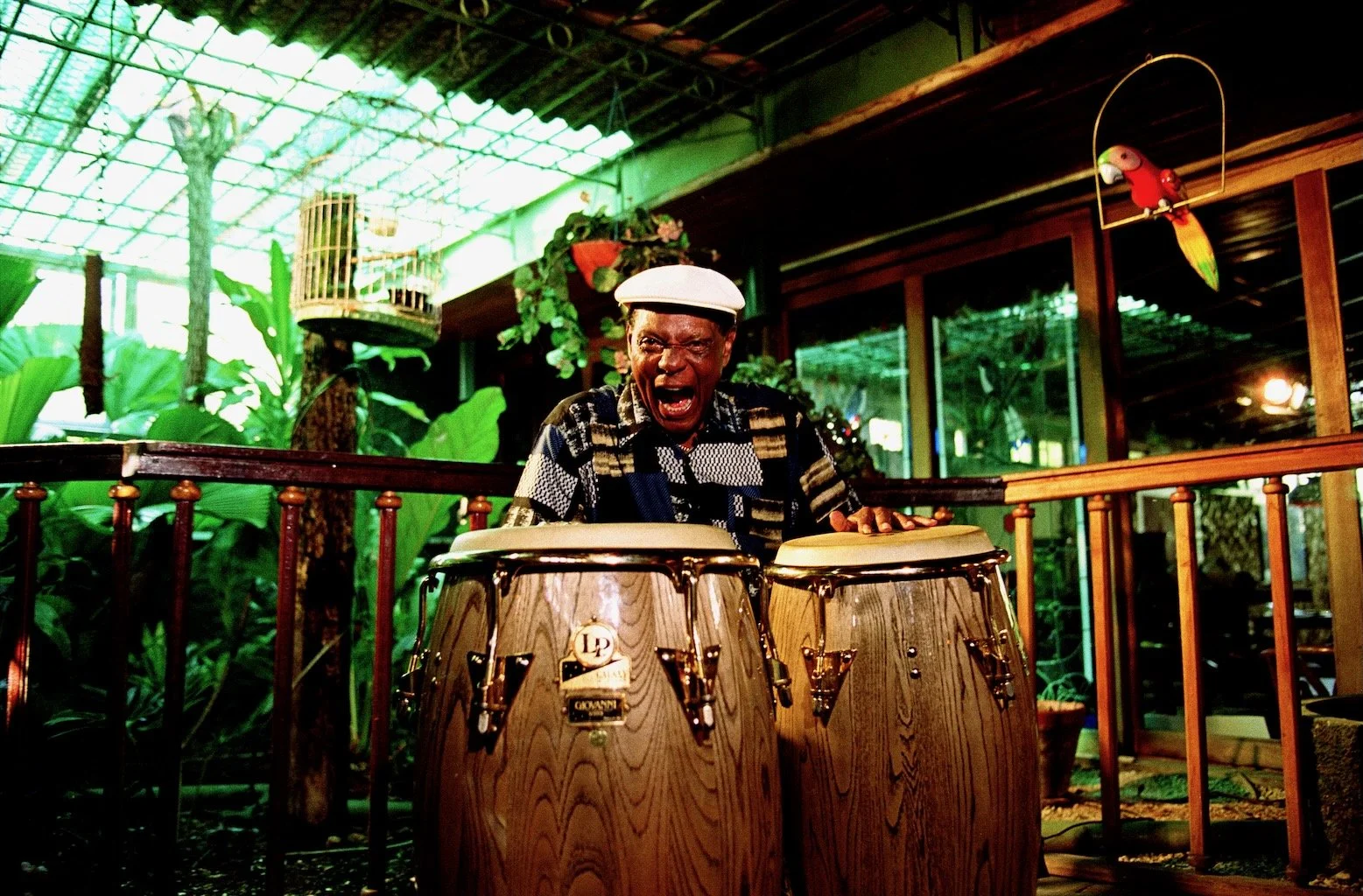Bongos Havana Cuba