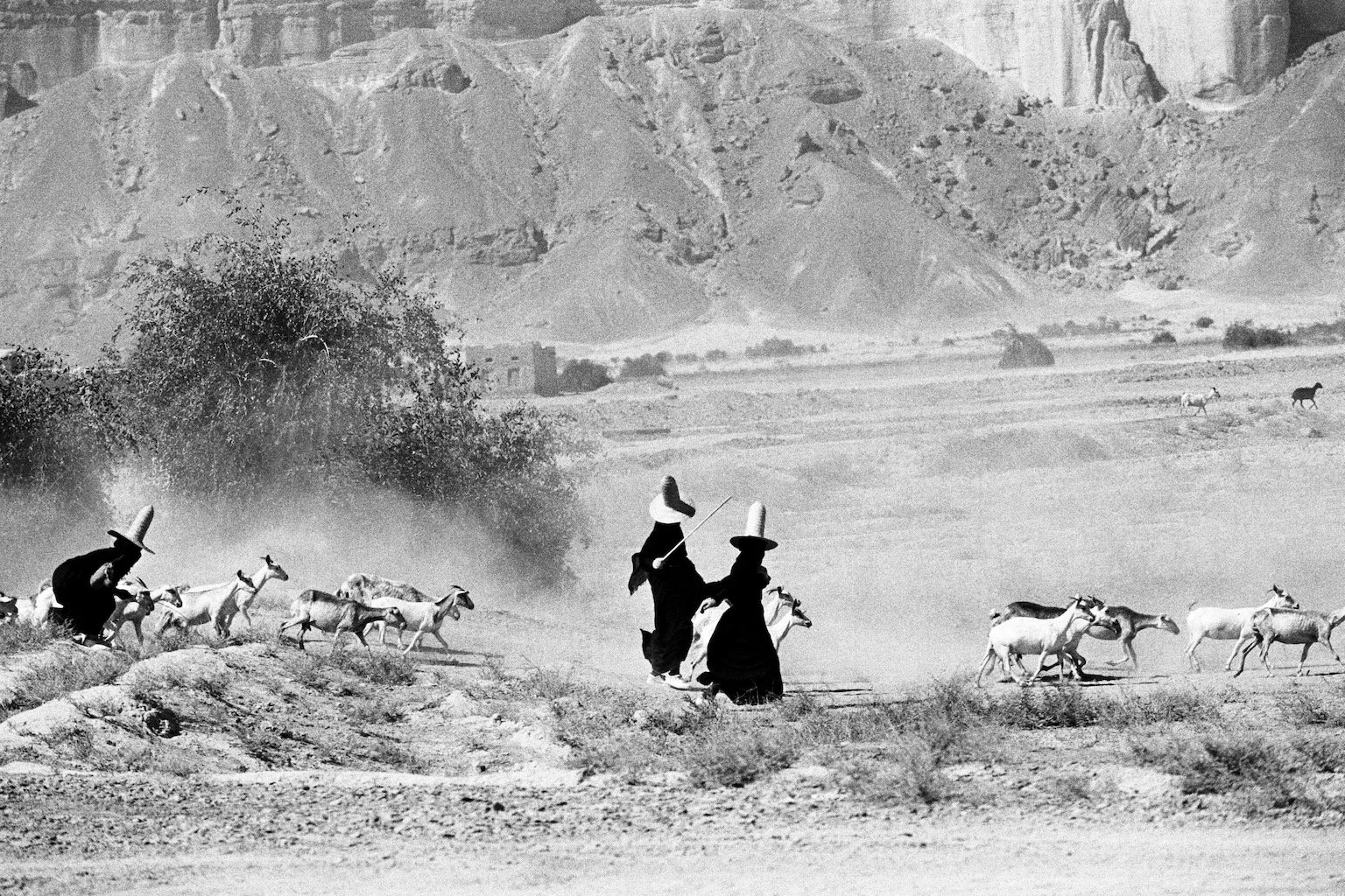 Witches Yemen
