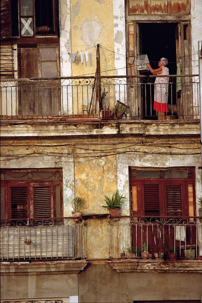 Bird Cage Havana Cuba