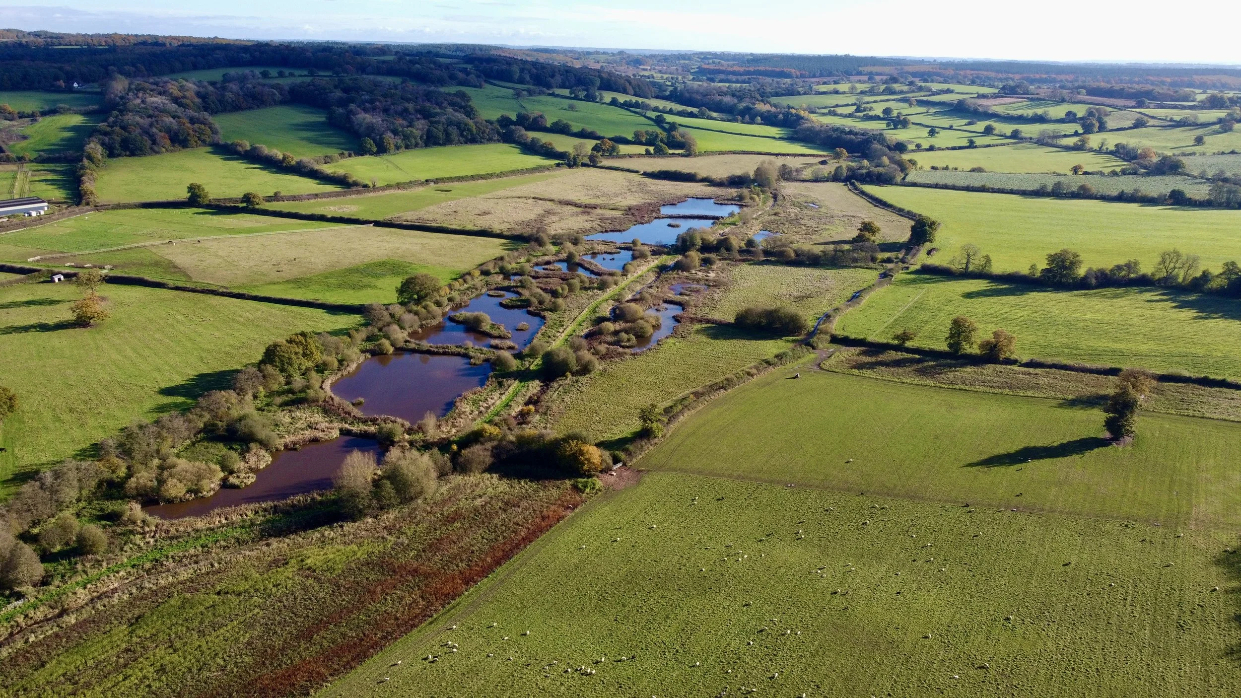 DJI_0733.JPG