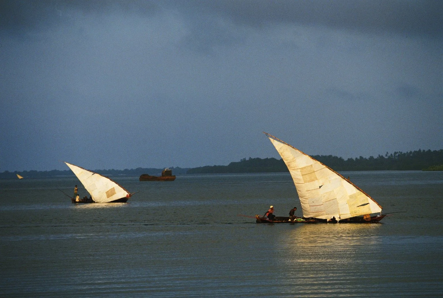Dhows Lamu Kenya