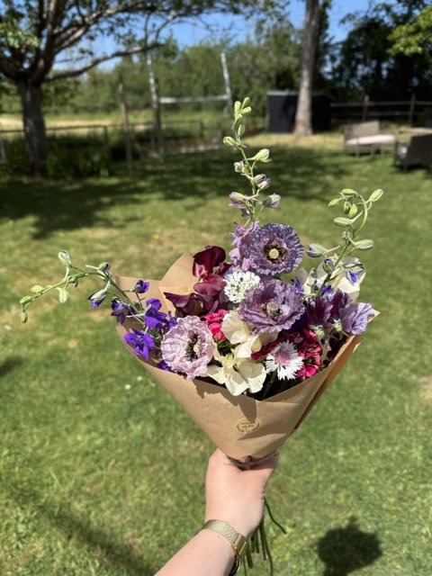 image3 (2).jpeg