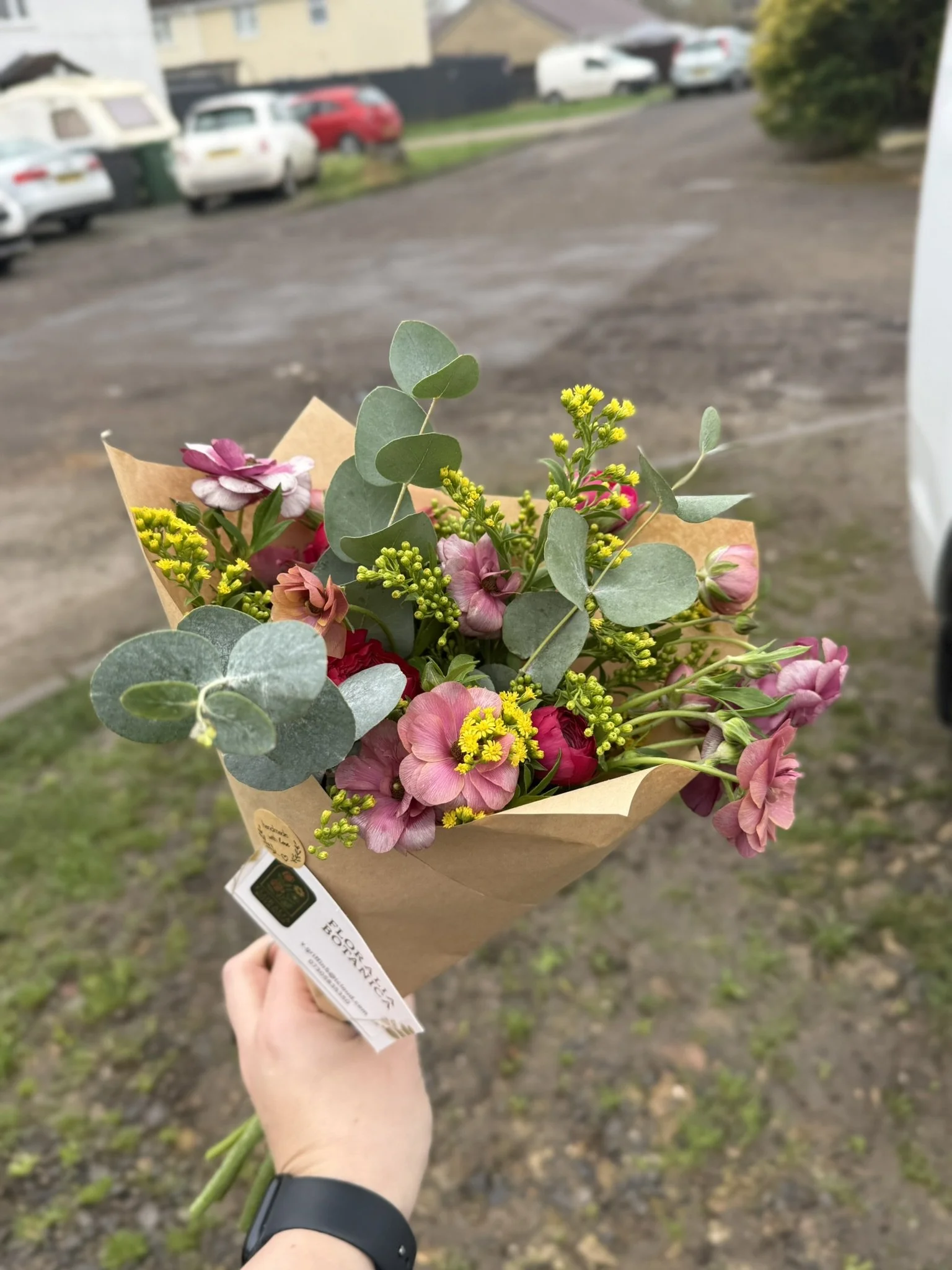 IMG_7805.JPEG