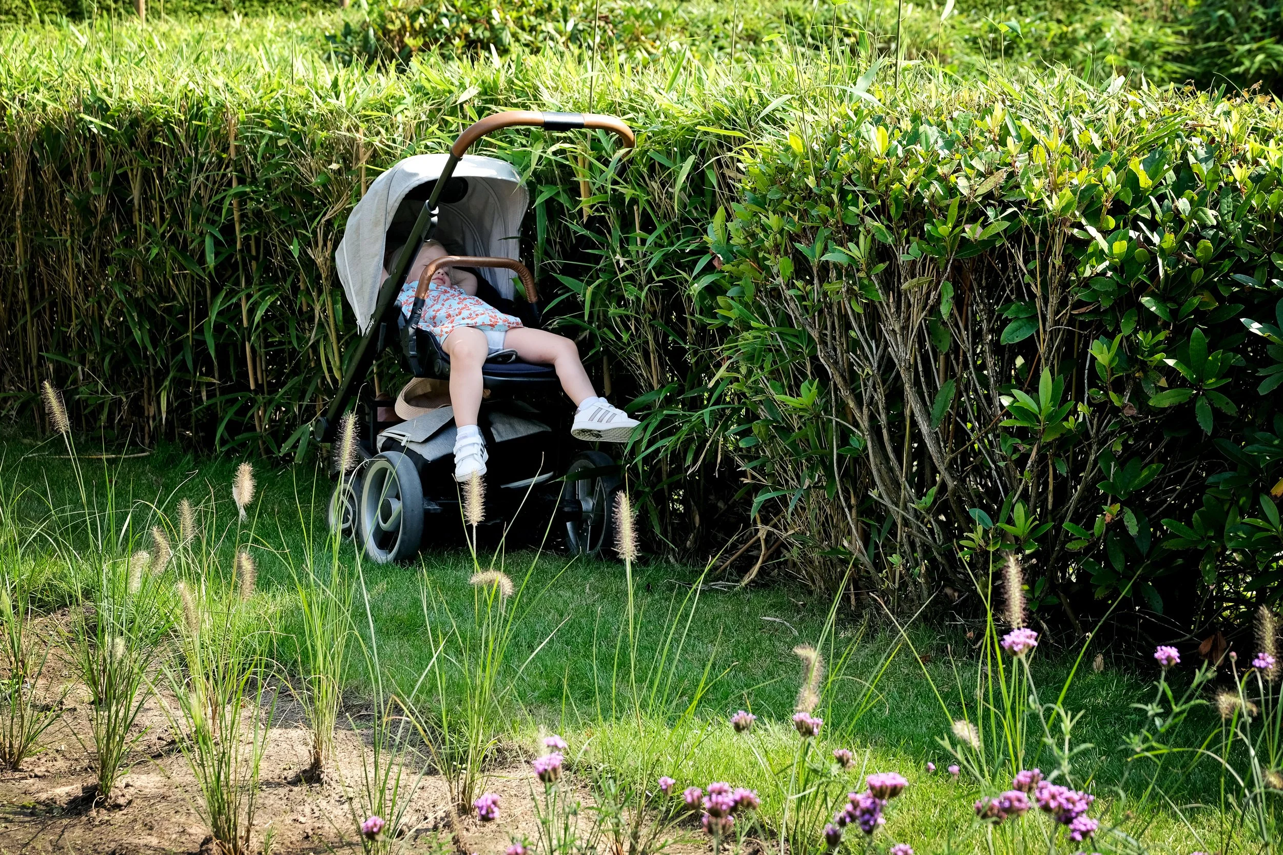 A baby sleeping in a stroller amidst tall green grass and plants in a garden or park.