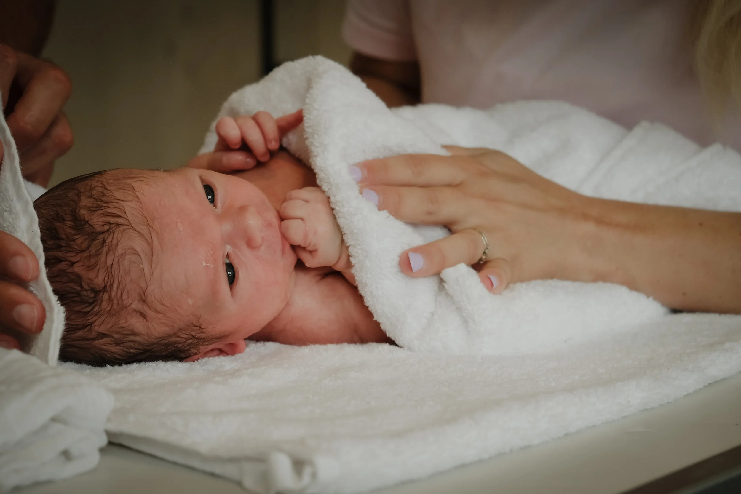 A newborn baby with wet hair lying on a soft white blanket, holding its tiny hand close to its face, with an adult hand gently supporting the baby's head.
