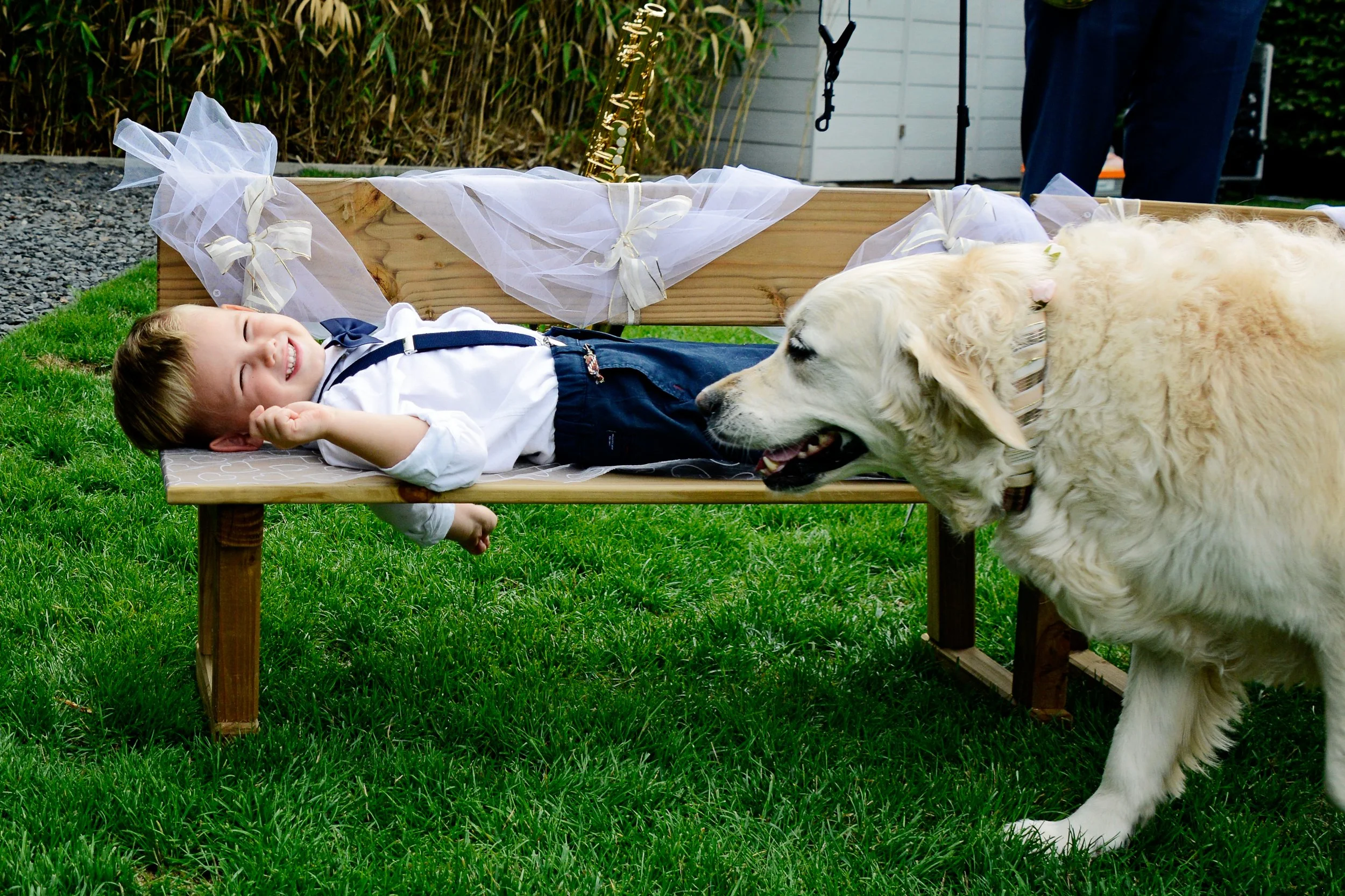 A young boy lying on a wooden table outdoors, smiling and wearing a white shirt with navy suspenders, a tie, and dark shorts, is being sniffed by a large, light-colored dog with a striped collar. The setting includes green grass, a wooden box with wh