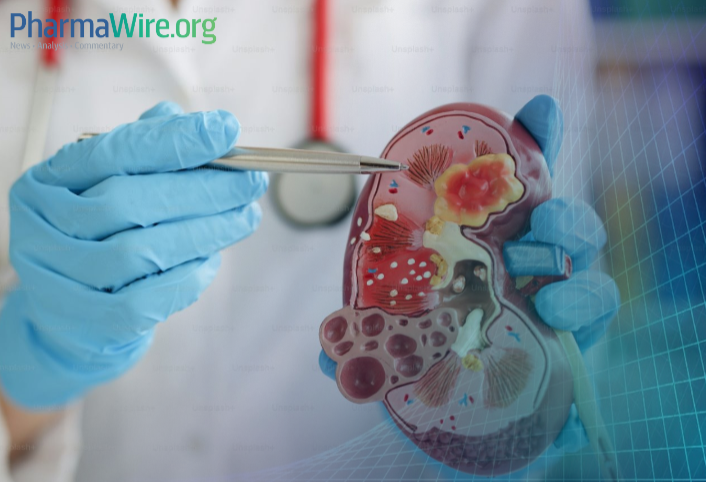 BridgeBio ($BBIO) touted kidney-protective data for Attruby, differentiating it from ATTR-CM rivals