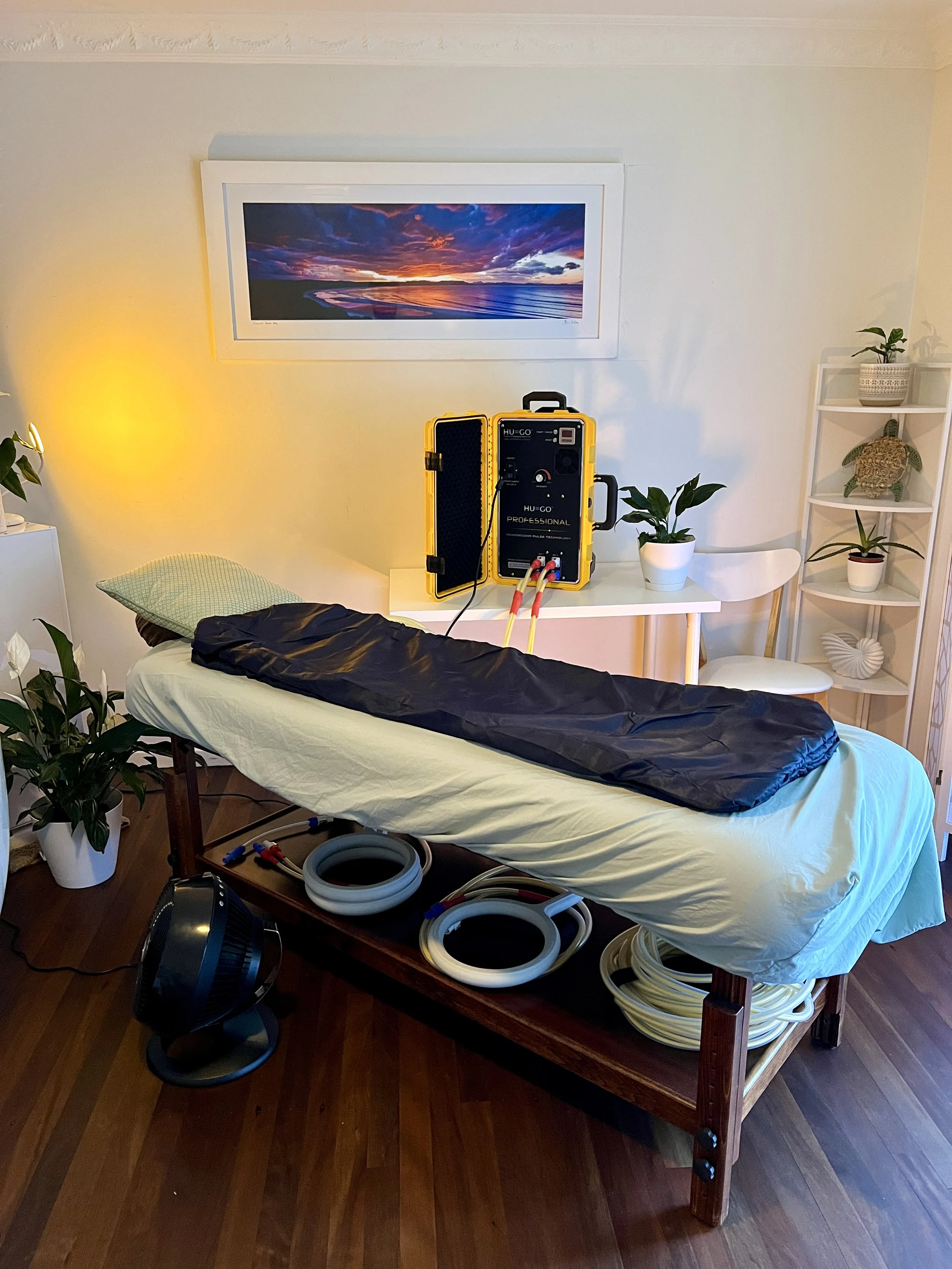 A treatment table with a black covering, surrounded by various hoses and equipment, inside a room decorated with plants and a framed sunset landscape painting.