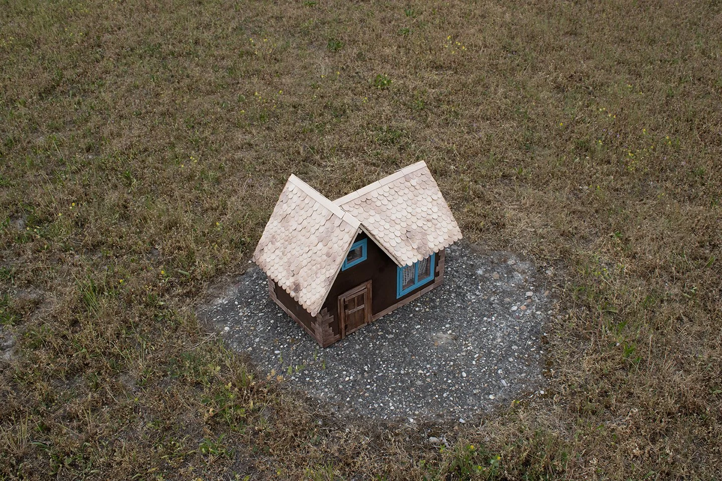 npoo web paula kapitanovic.jpg