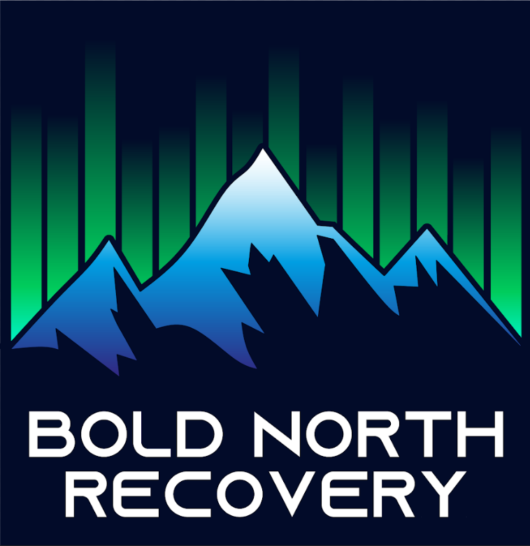 Graphic logo featuring a mountain range with an aurora borealis above, and the text 'Bold North Recovery' below